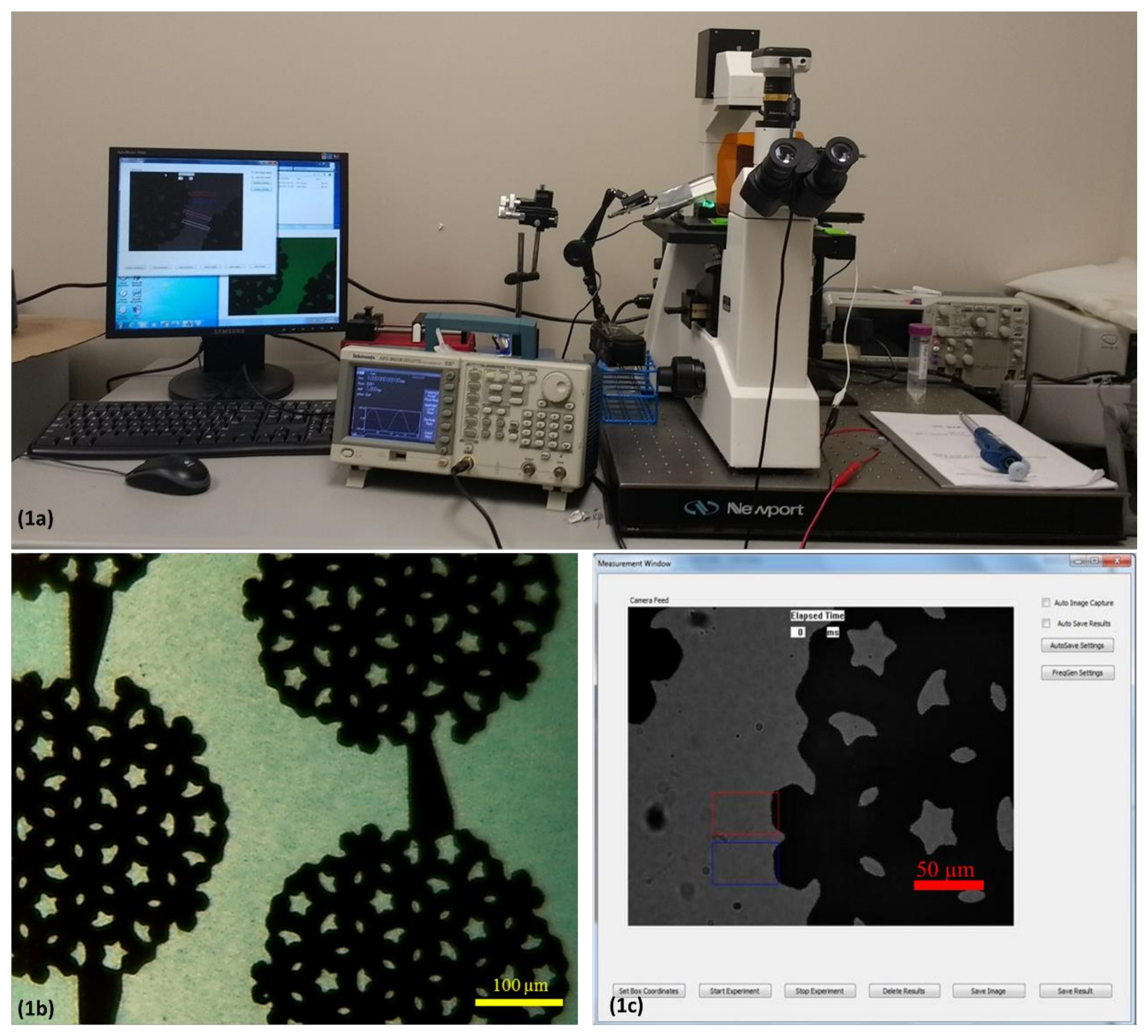 Chemosensors 06 00033 g001 Chemosensors 06 00033 g001