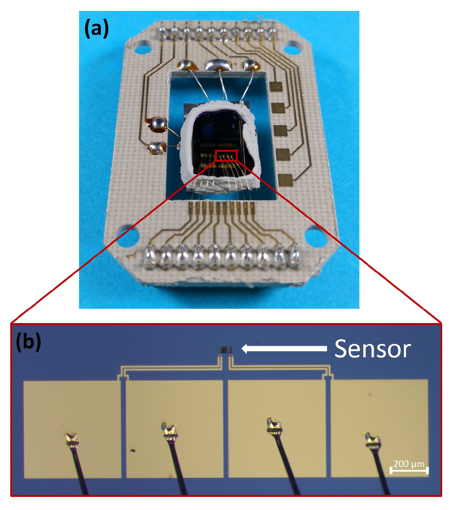 Chemosensors 06 00056 g001