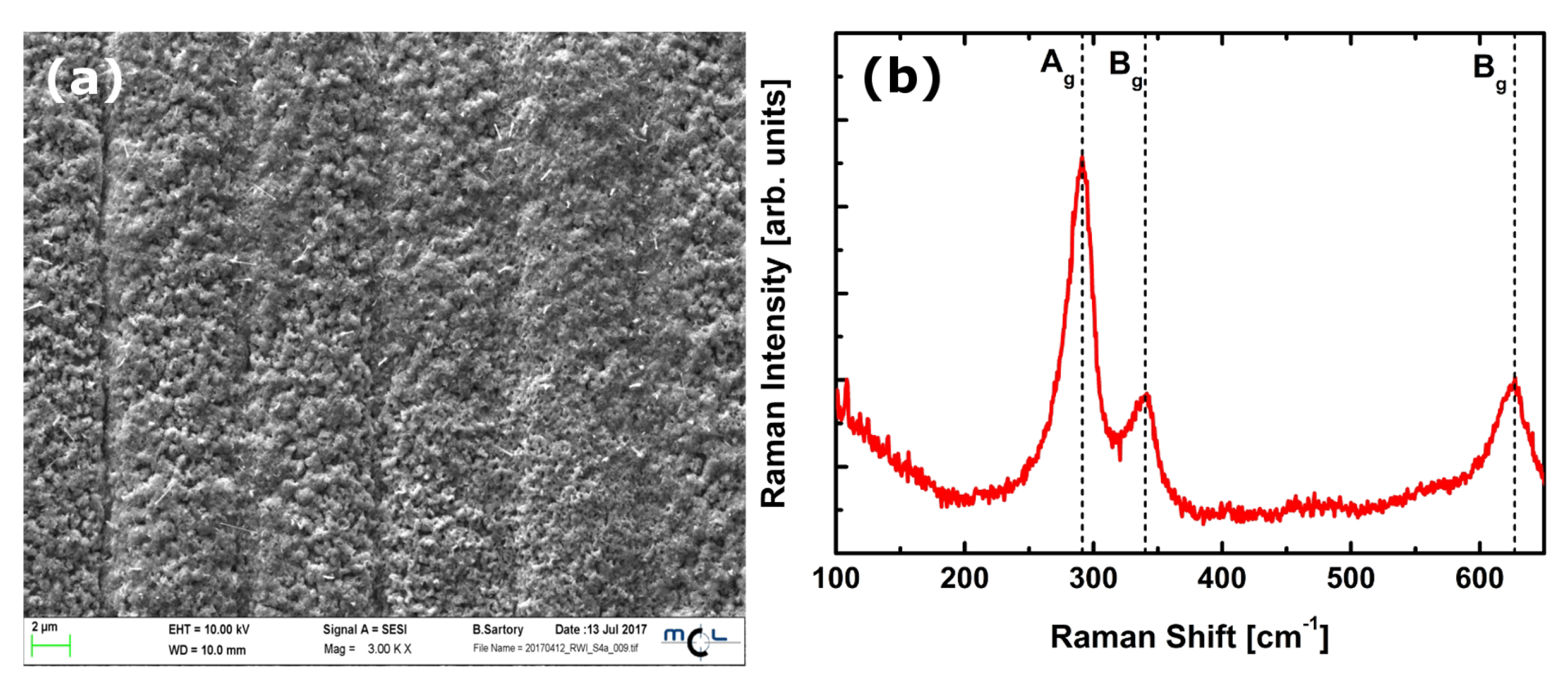 Chemosensors 06 00056 g002