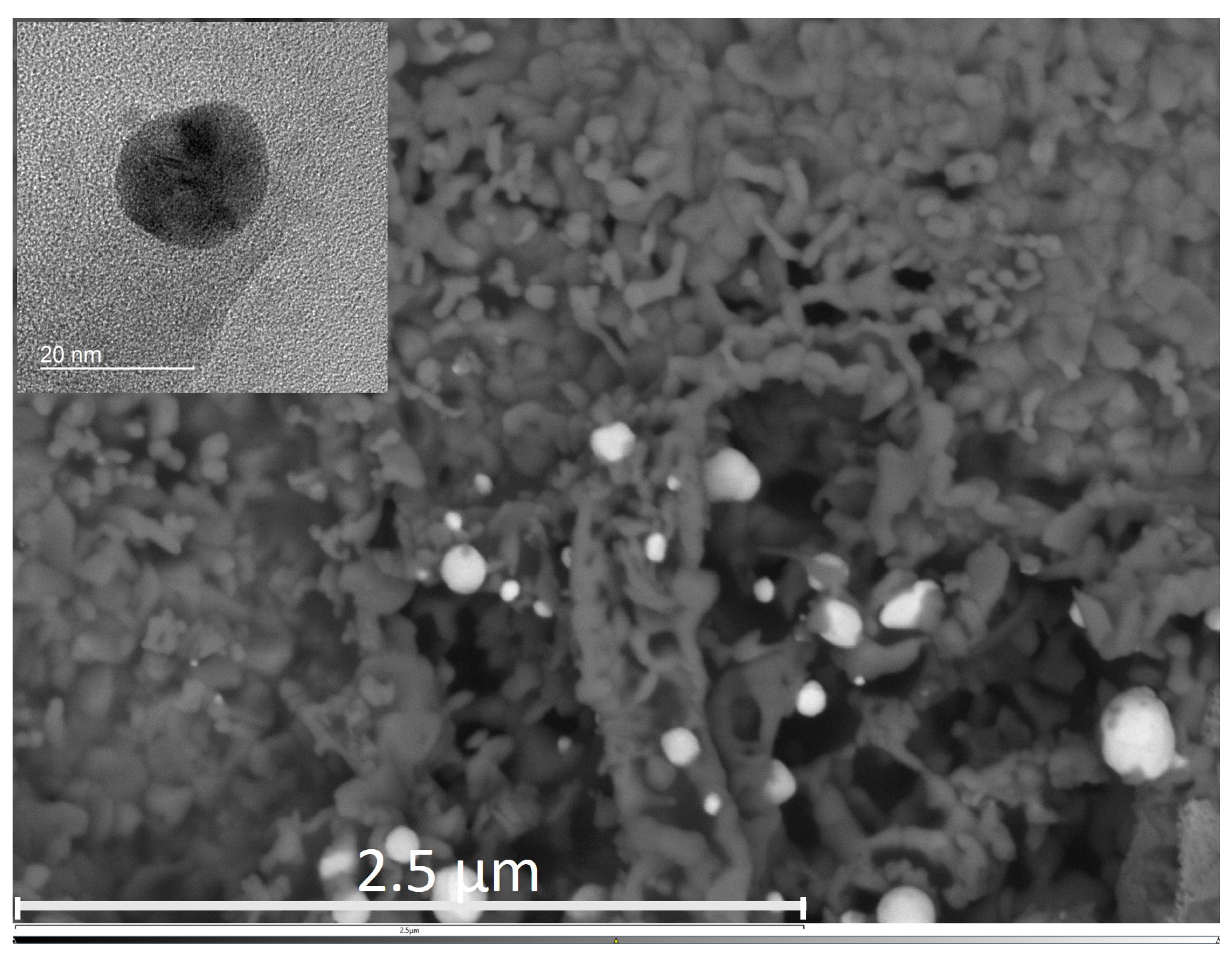 Chemosensors 06 00056 g003