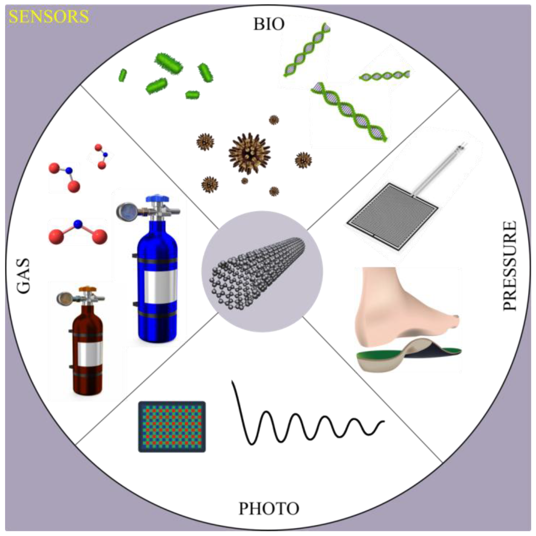 Chemosensors 06 00062 g001