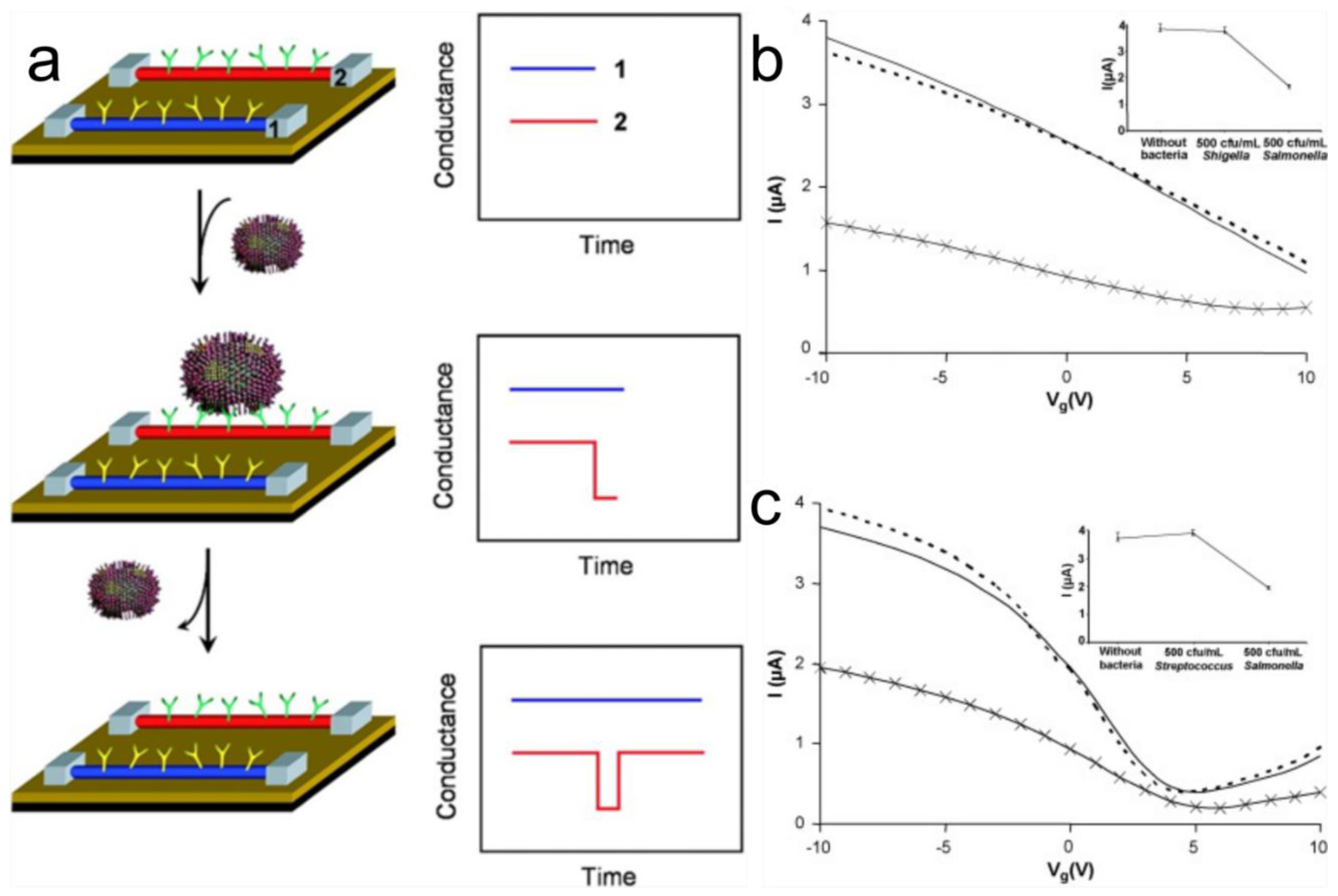 Chemosensors 06 00062 g004