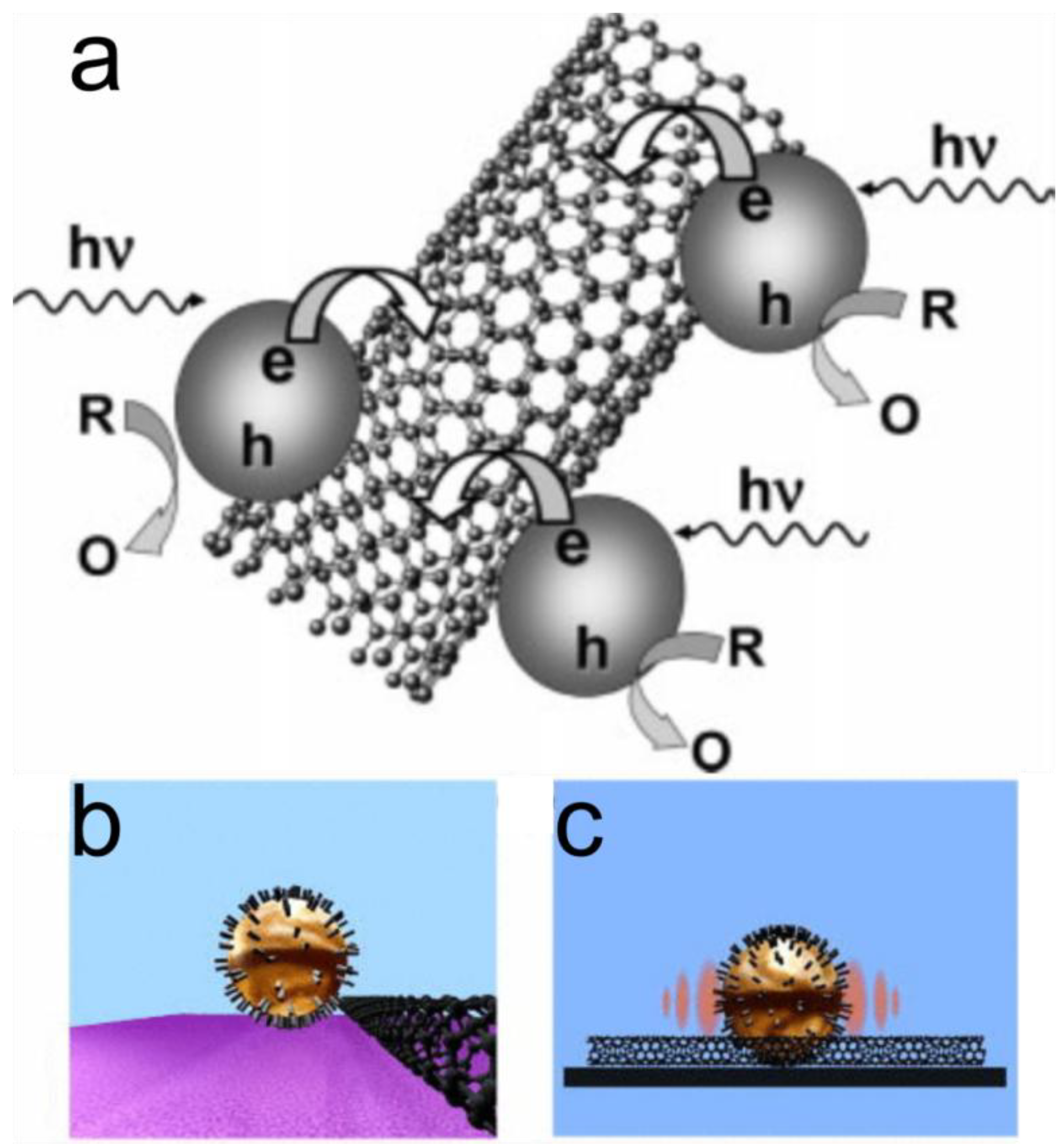Chemosensors 06 00062 g006
