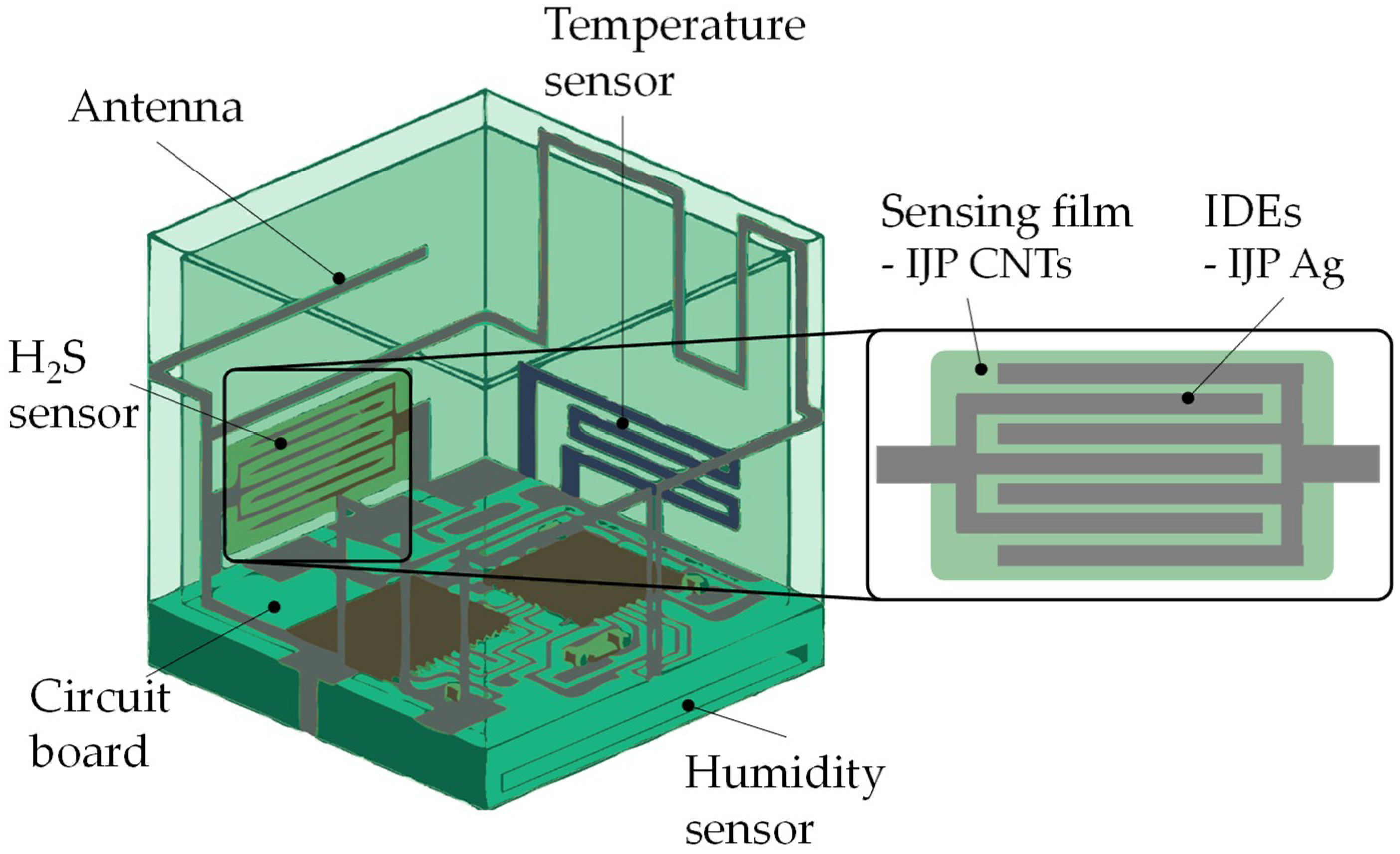 Chemosensors 06 00066 g009