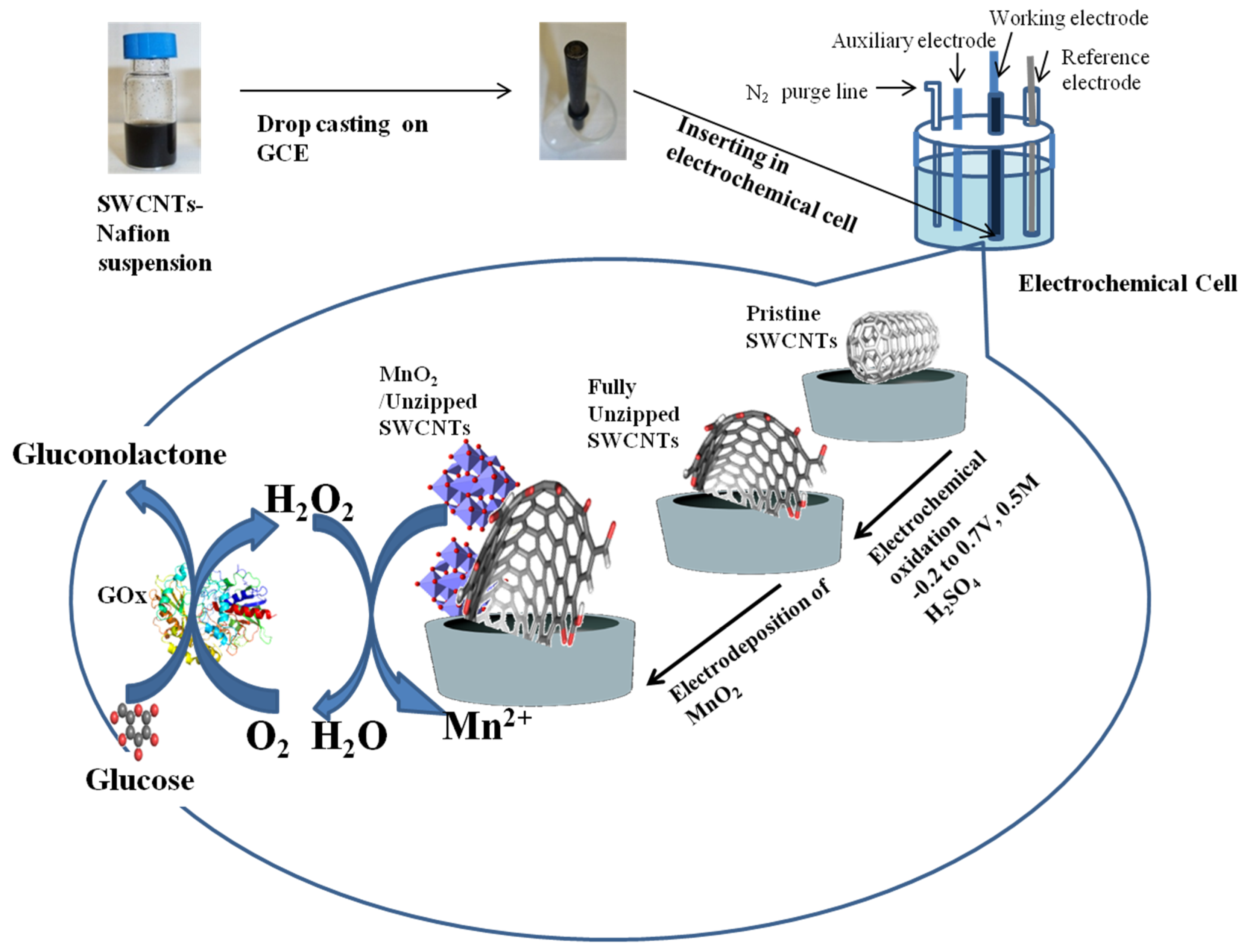 Chemosensors 07 00001 g001