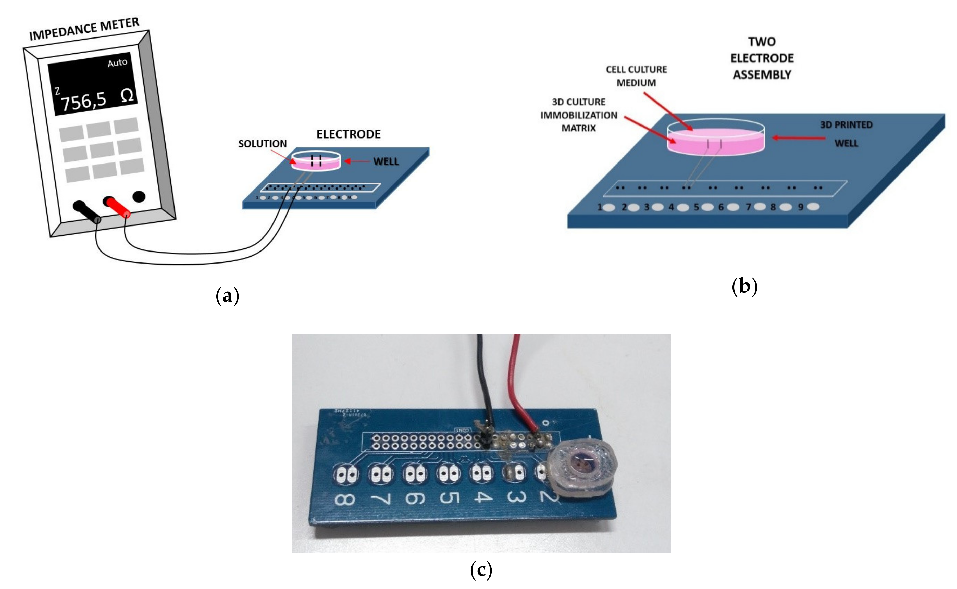 Chemosensors 07 00006 g001 550