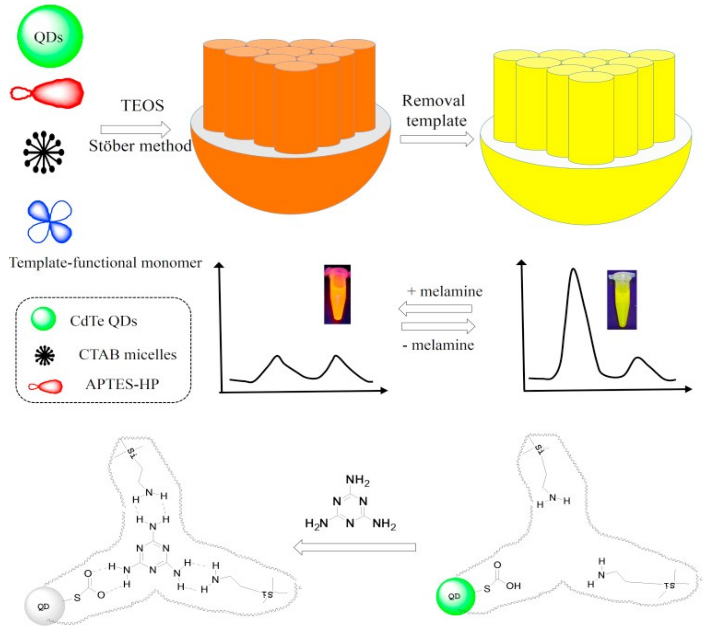 Chemosensors 07 00009 g004 Chemosensors 07 00009 g004