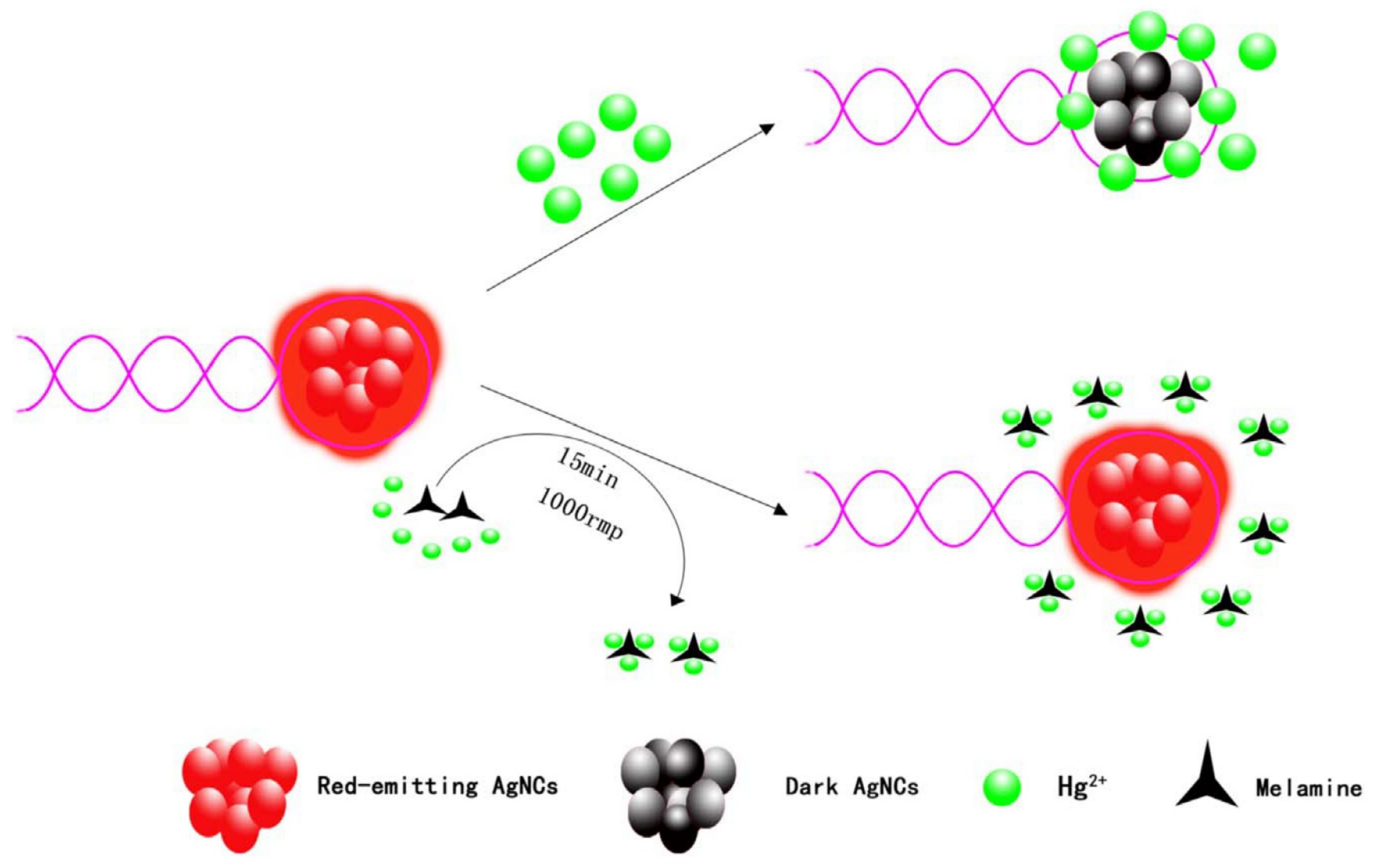 Chemosensors 07 00009 g007 Chemosensors 07 00009 g007