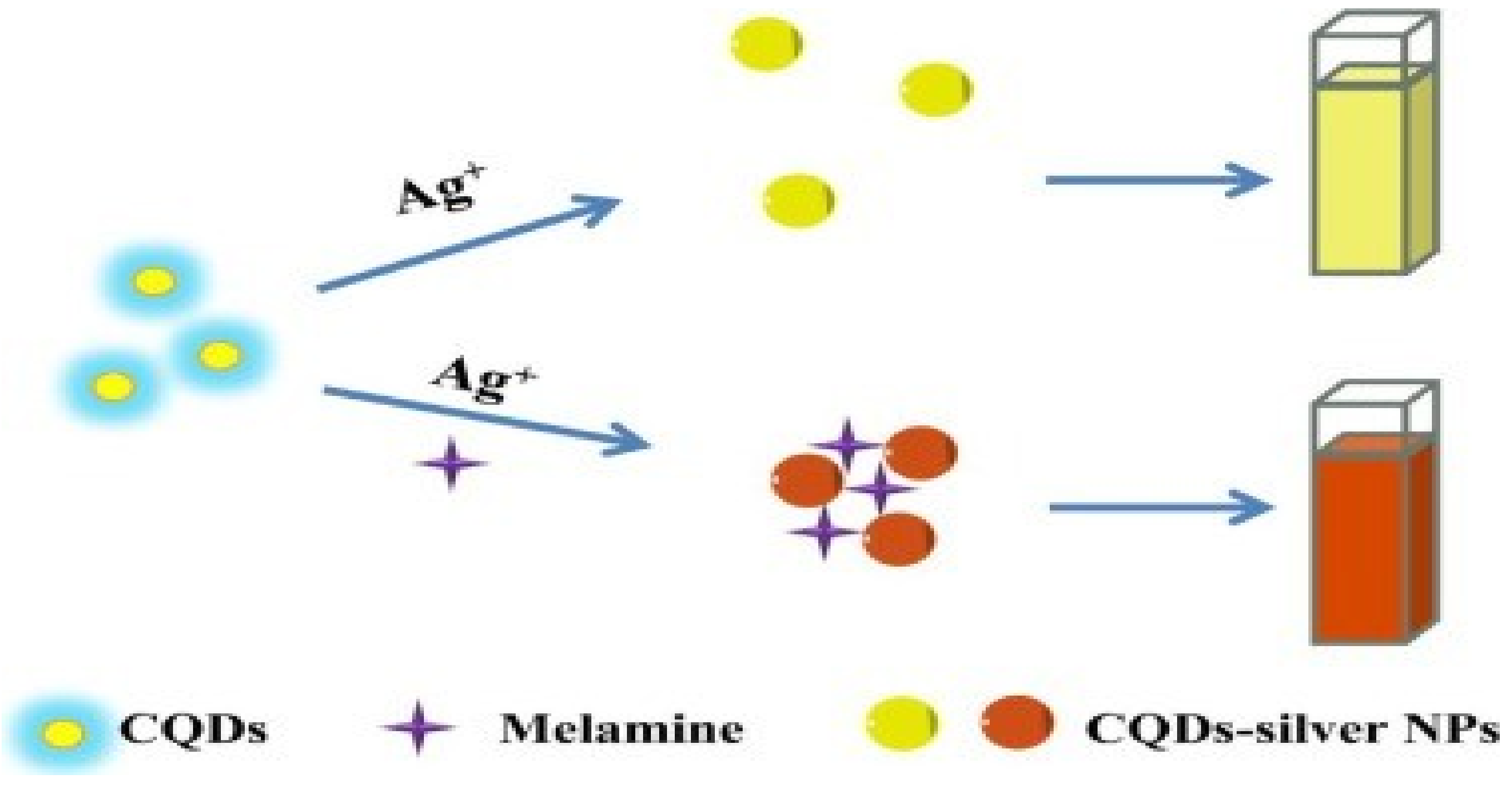 Chemosensors 07 00009 g010 Chemosensors 07 00009 g010