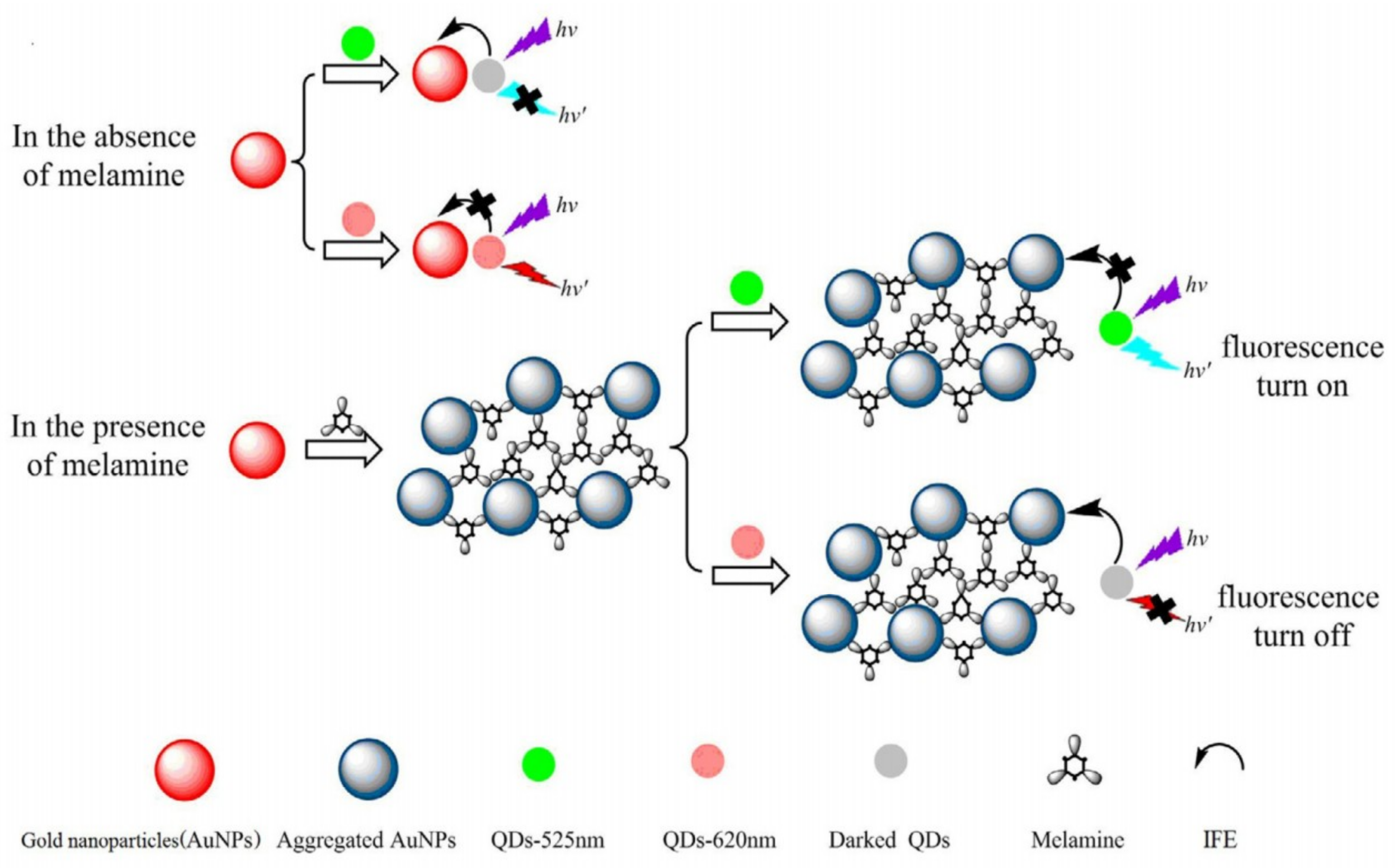 Chemosensors 07 00009 g013 Chemosensors 07 00009 g013