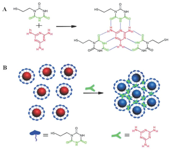 Chemosensors Free Full Text Review On Nanomaterial Based