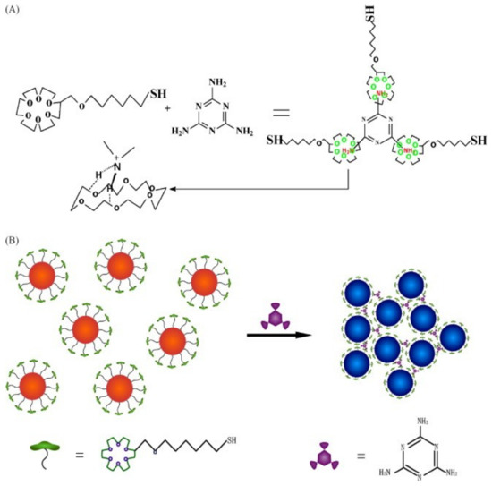 Chemosensors Free Full Text Review On Nanomaterial Based