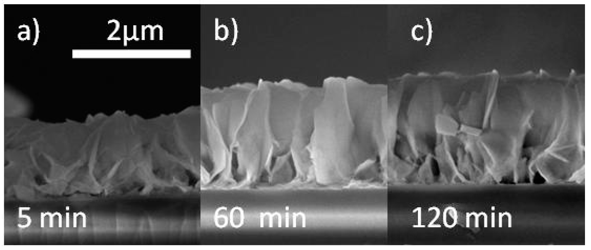 Chemosensors 07 00018 g002