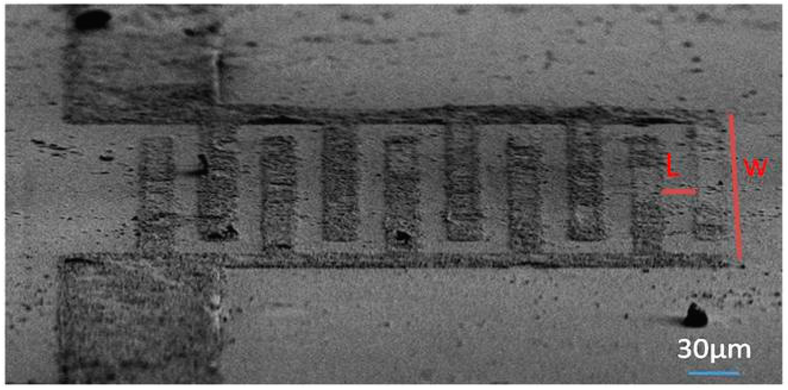 Chemosensors 07 00018 g005