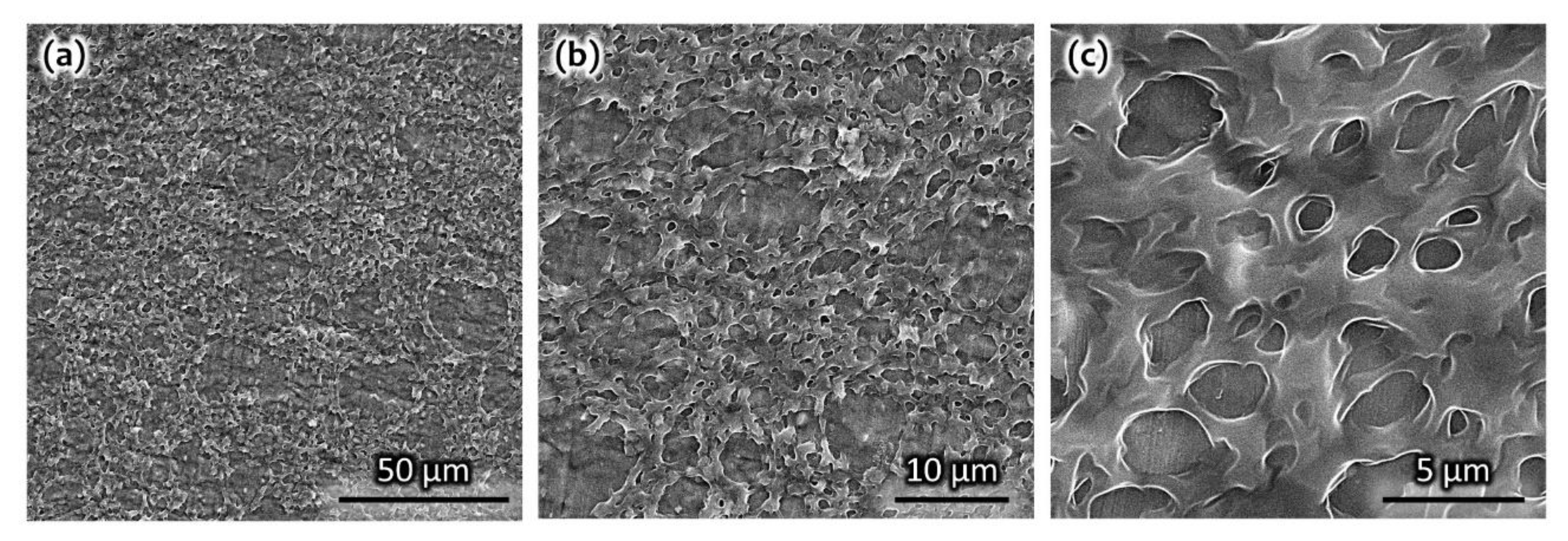 Chemosensors 07 00020 g002