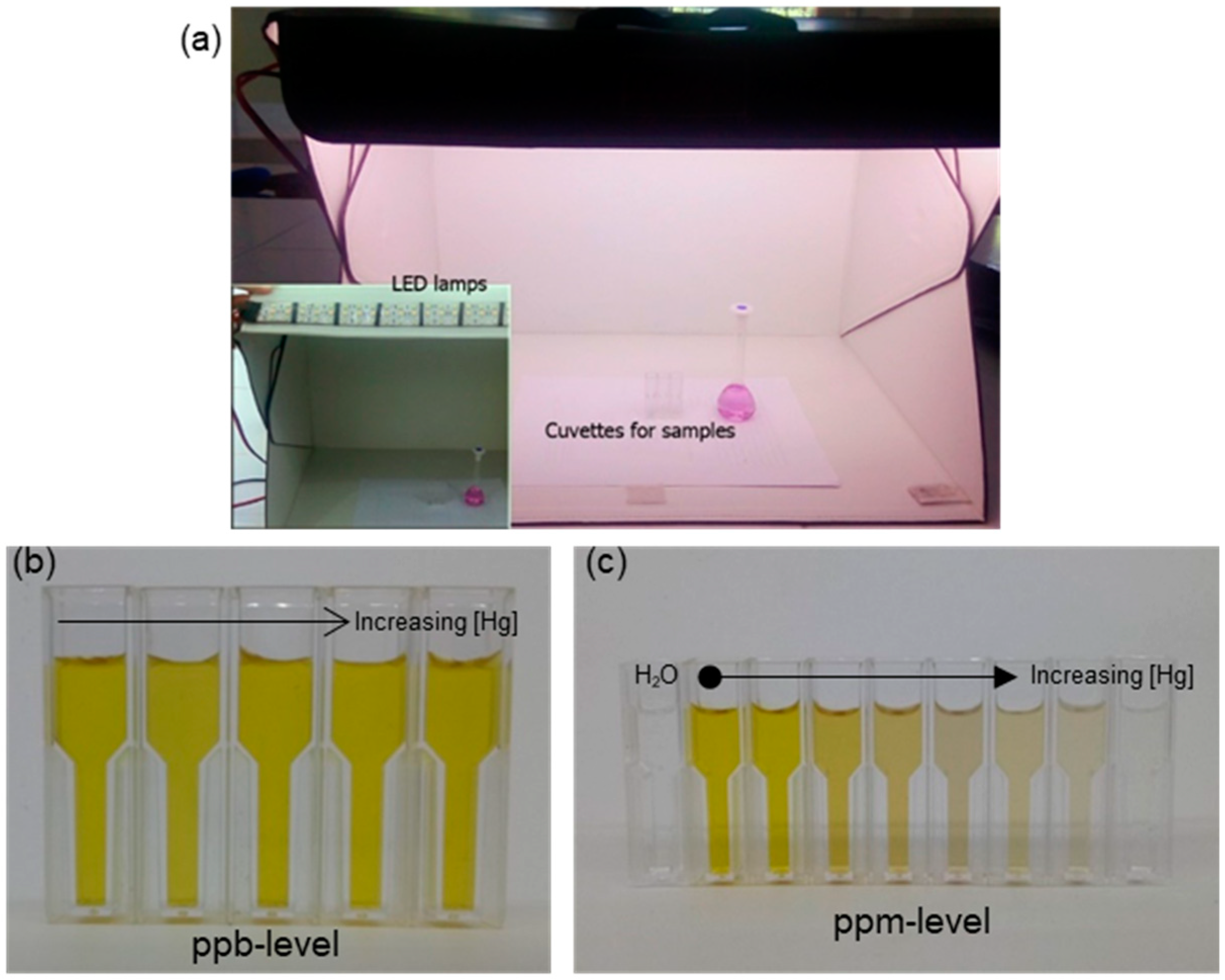 Chemosensors 07 00025 g002