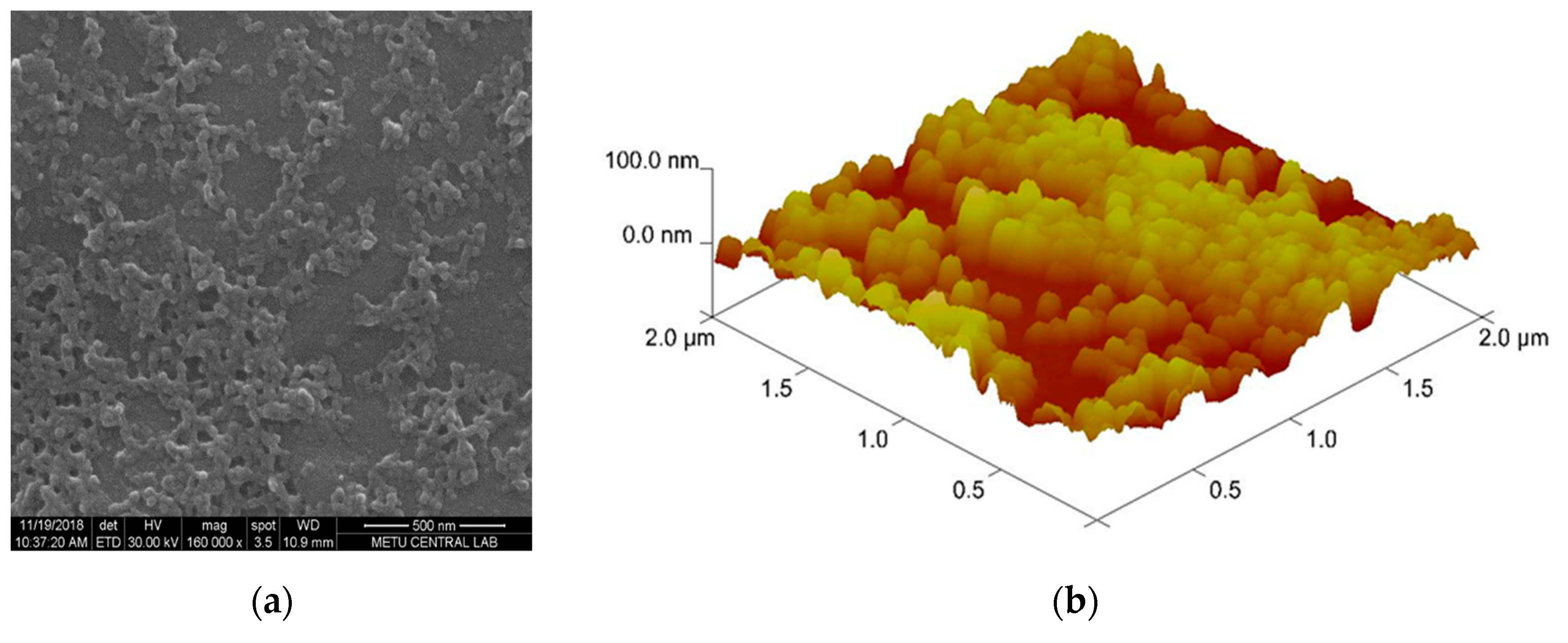 Chemosensors 07 00033 g003a Chemosensors 07 00033 g003a