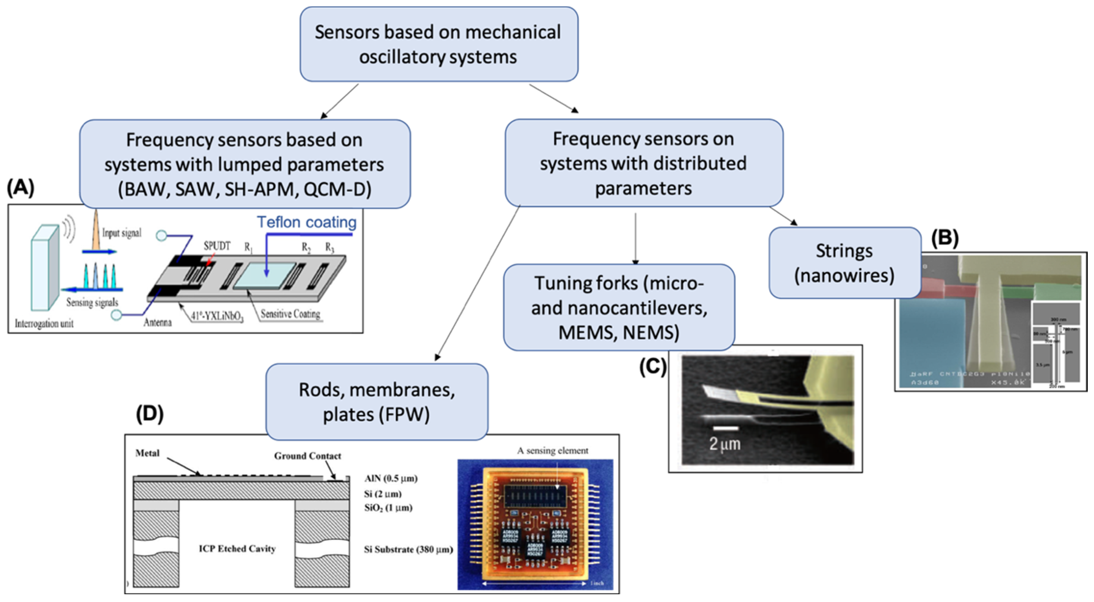 Chemosensors 07 00039 g001 550