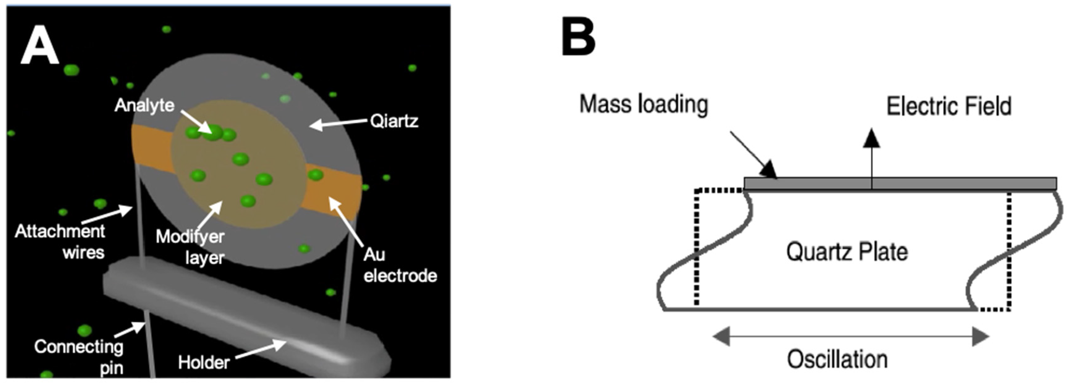 Chemosensors 07 00039 g002 550