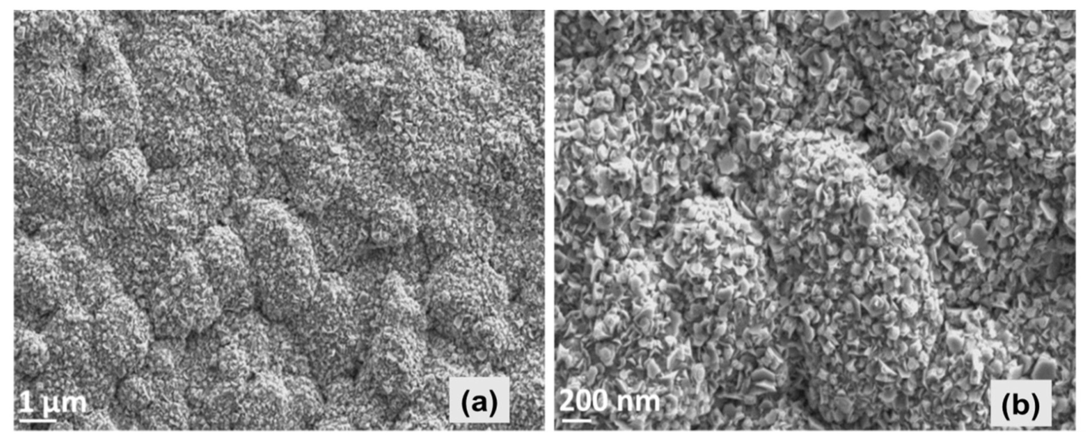 Chemosensors 07 00042 g002