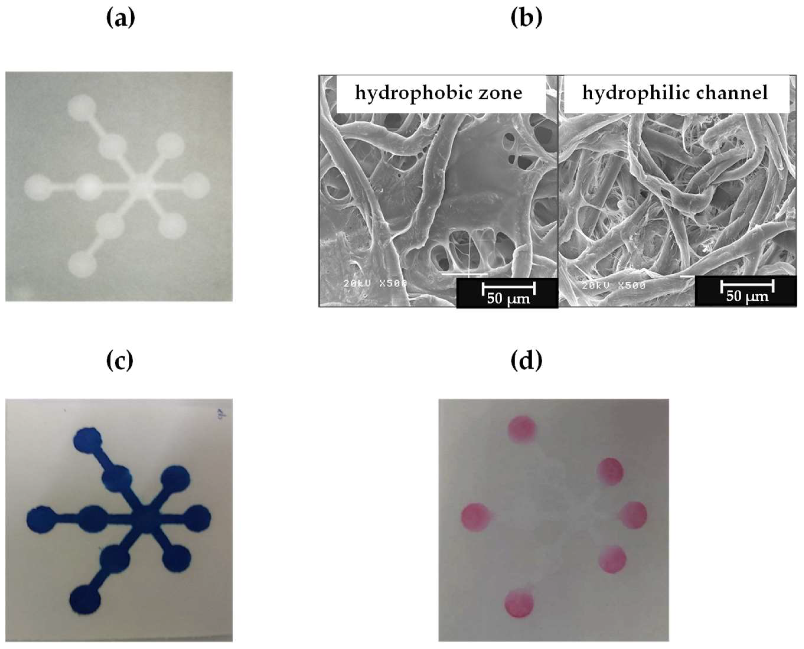 Chemosensors 07 00044 g003 Chemosensors 07 00044 g003