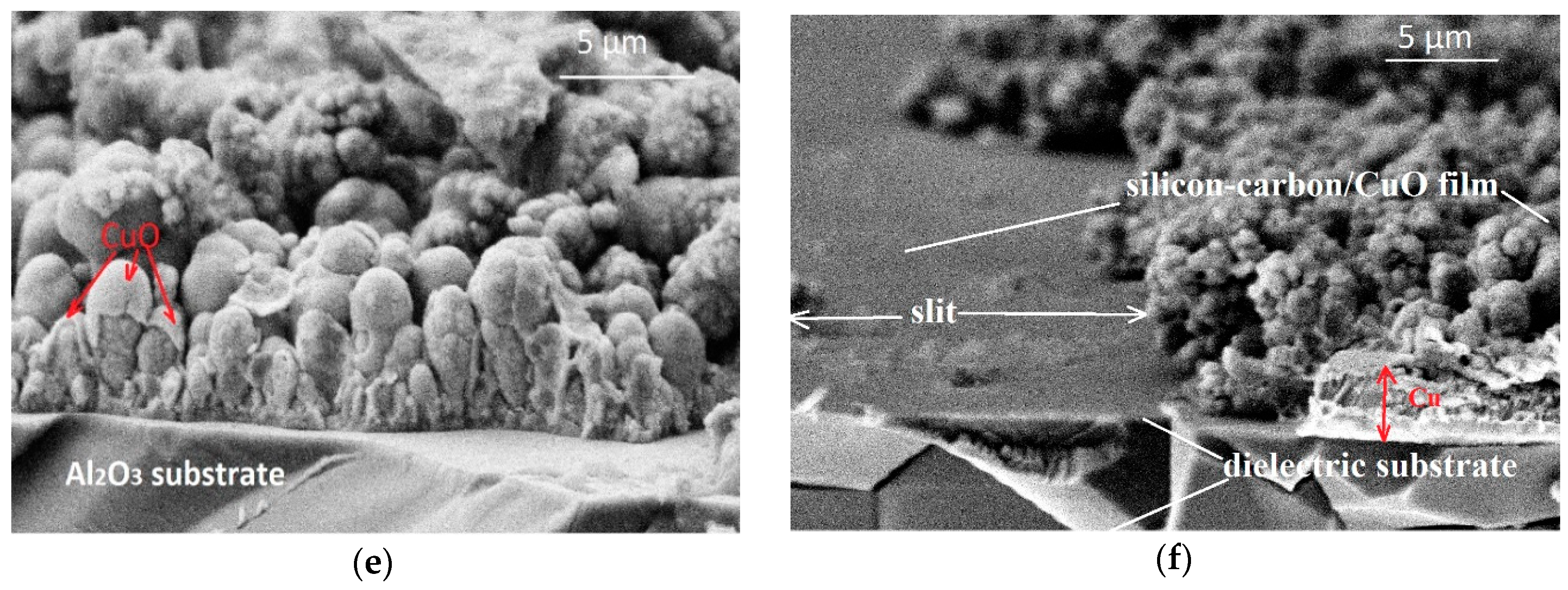 Chemosensors 07 00052 g005b Chemosensors 07 00052 g005b