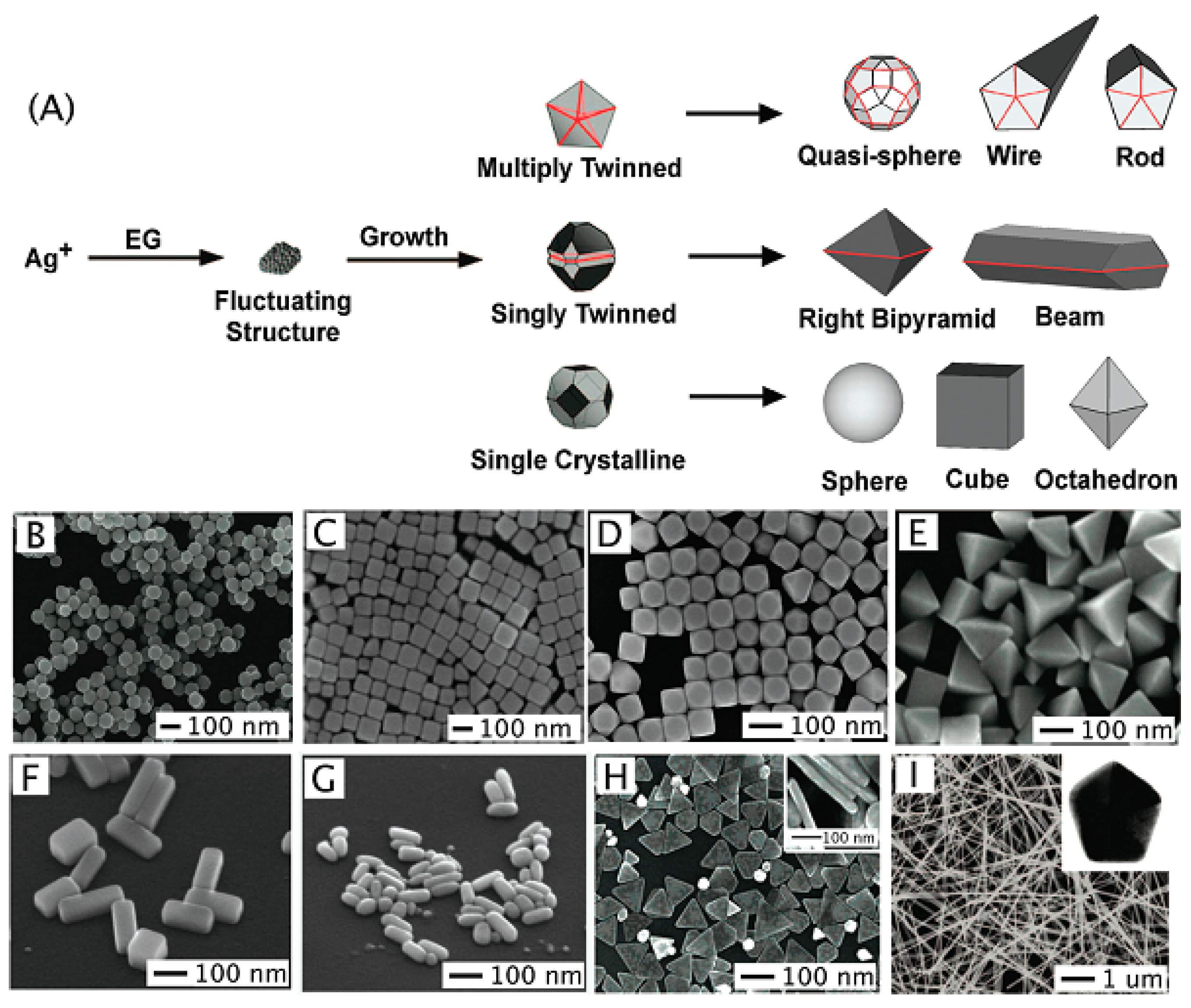 Chemosensors 07 00053 g001 Chemosensors 07 00053 g001