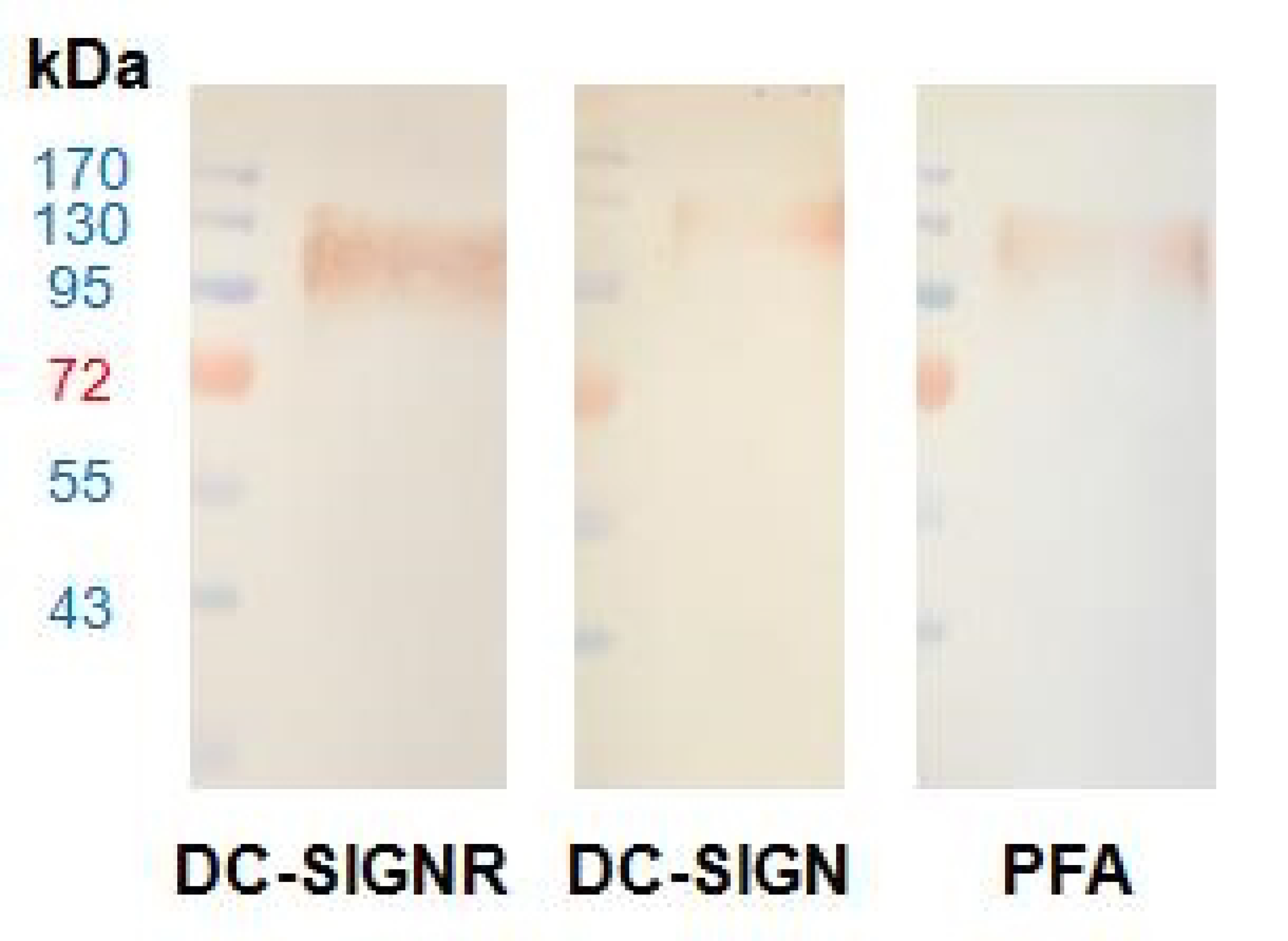 Chemosensors 07 00055 g006