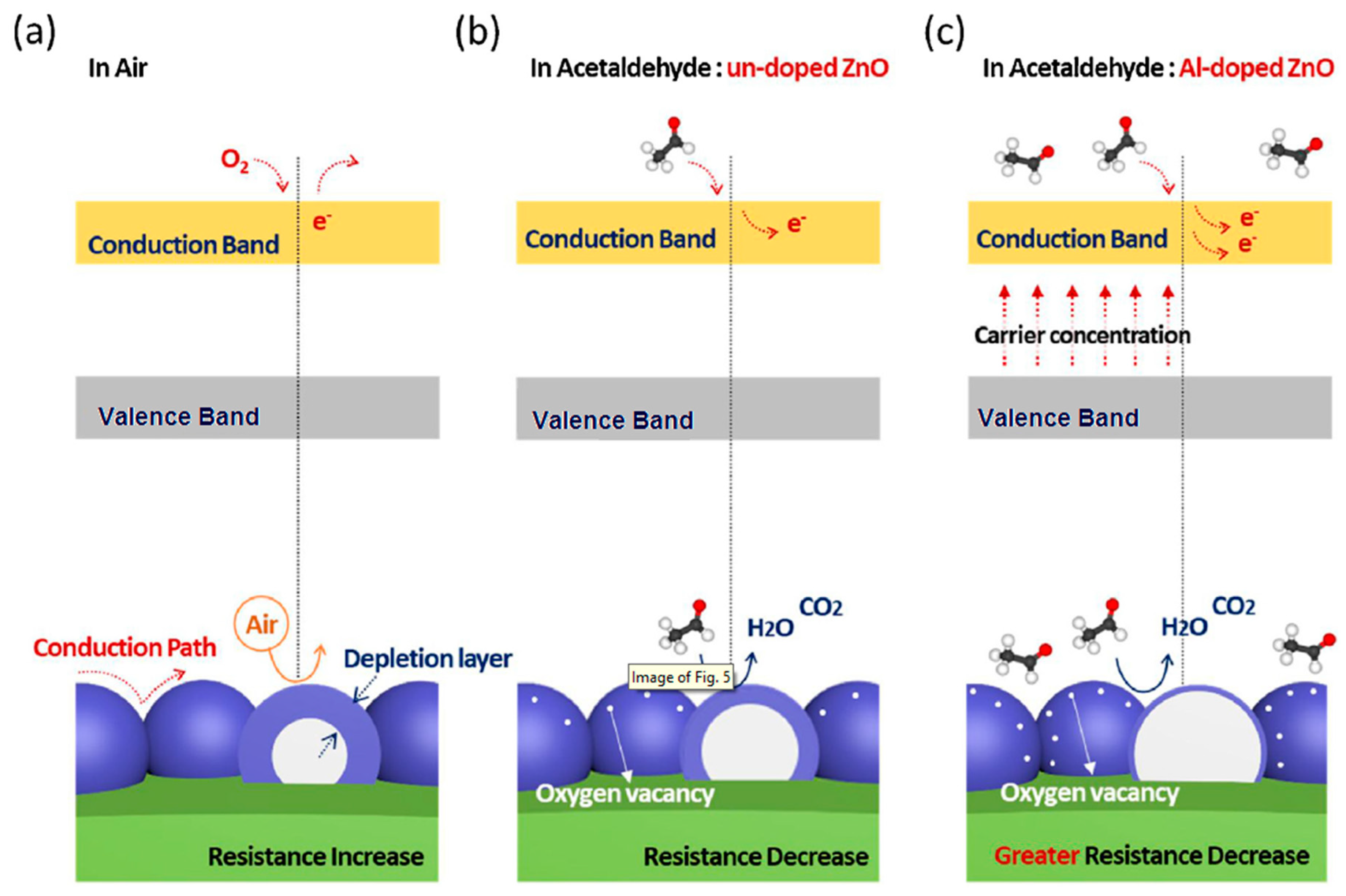 Chemosensors 07 00056 g008 Chemosensors 07 00056 g008