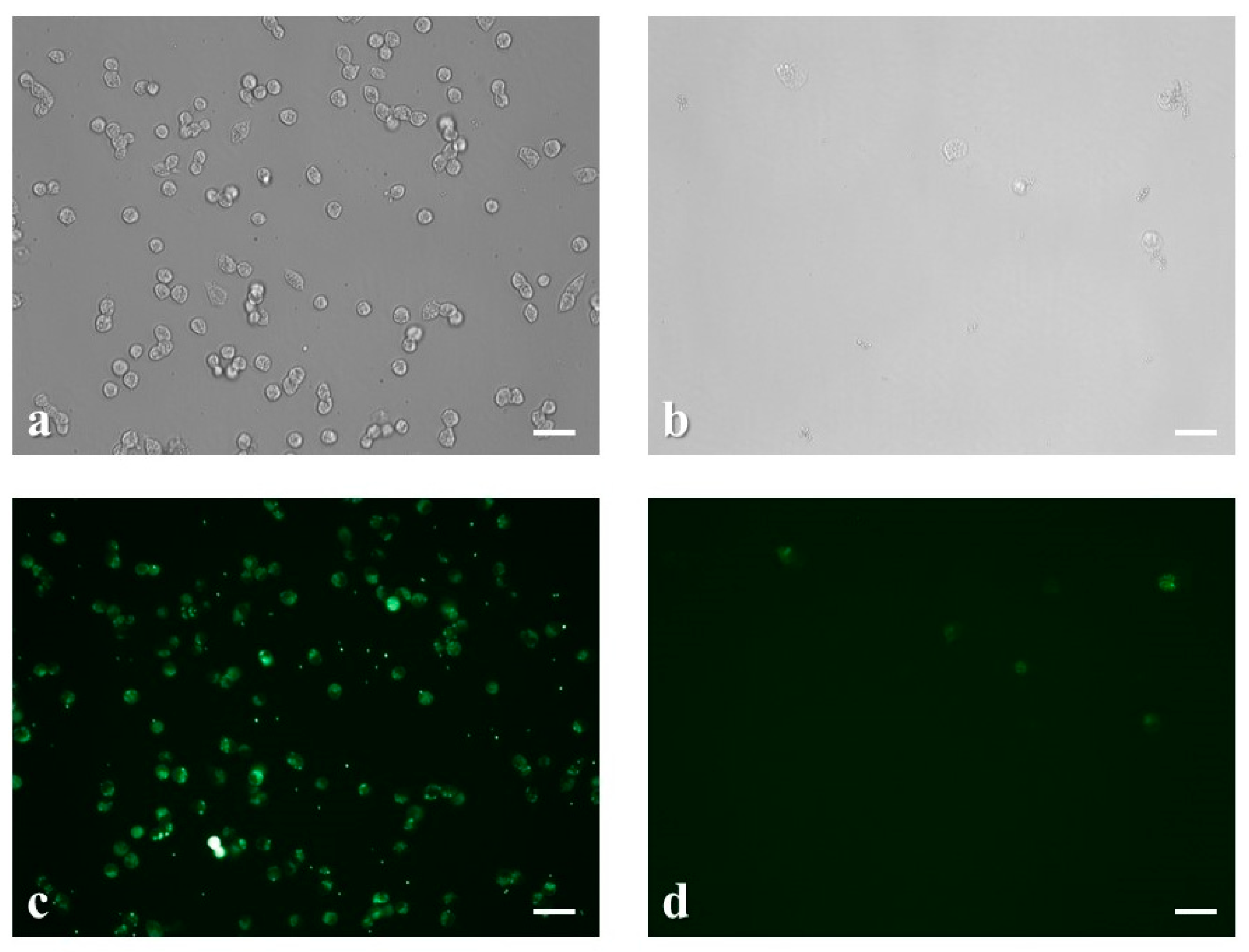 Chemosensors 07 00058 g005