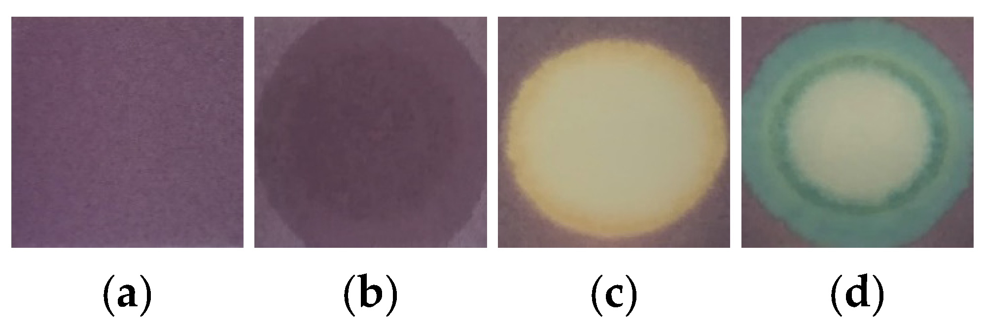 Chemosensors 07 00059 g004