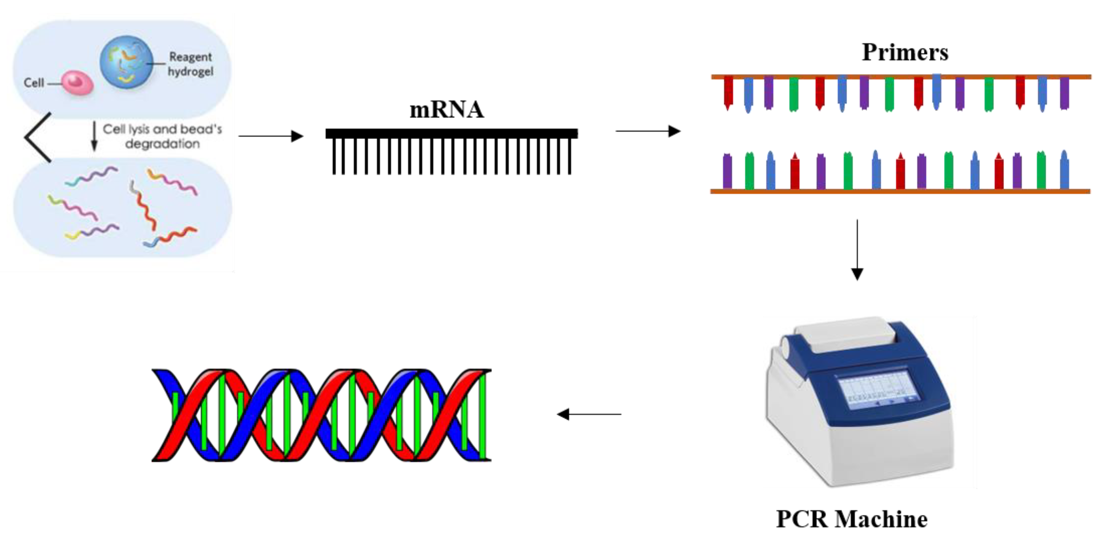 Chemosensors 07 00060 g001 550