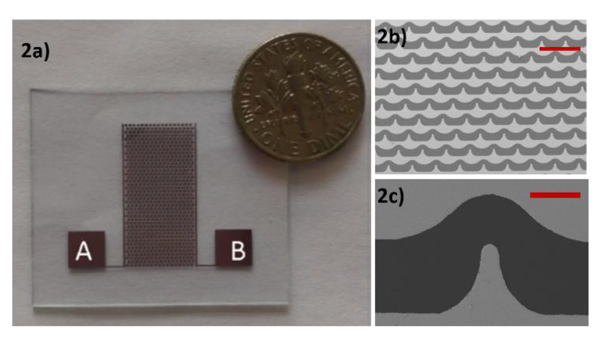 Chemosensors 07 00060 g002 550