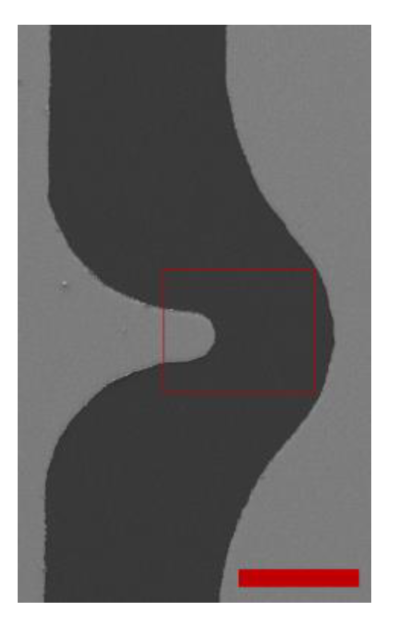 Chemosensors 07 00060 g003 550