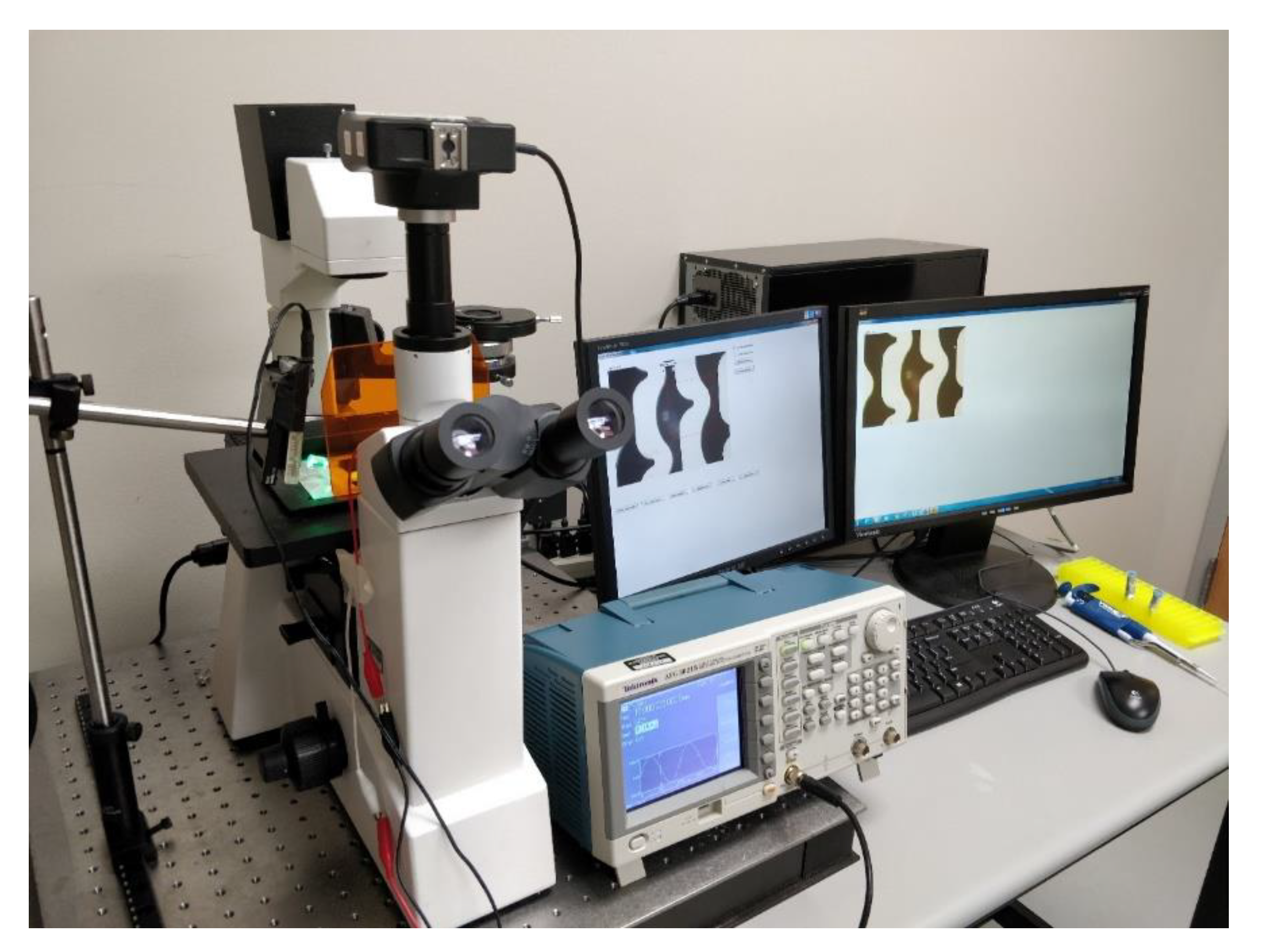 Chemosensors 07 00060 g004 550