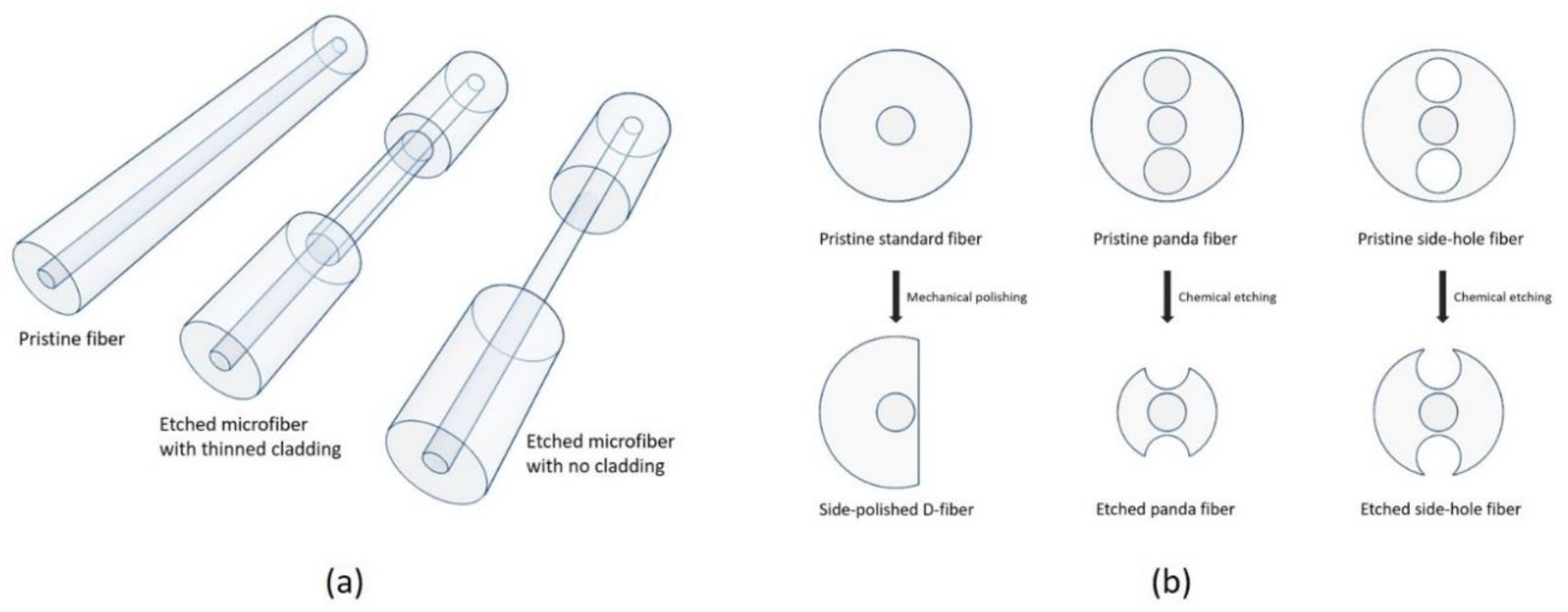 Chemosensors 07 00063 g005