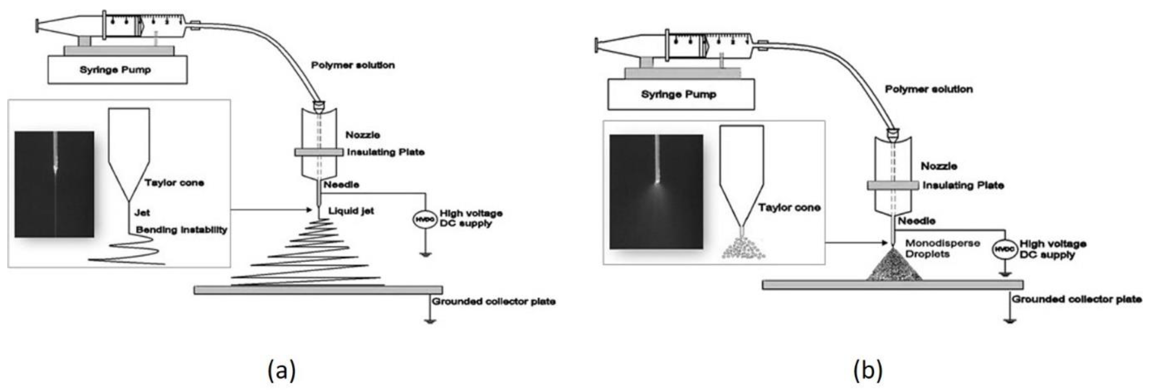 Chemosensors 07 00063 g010