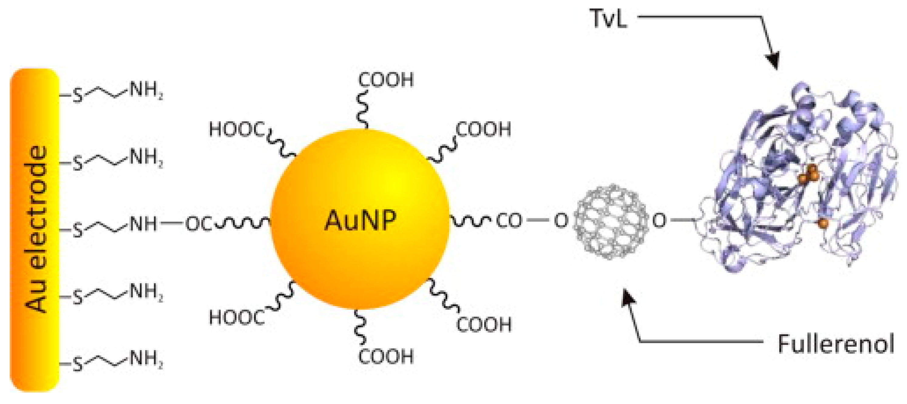 Chemosensors 07 00066 g008