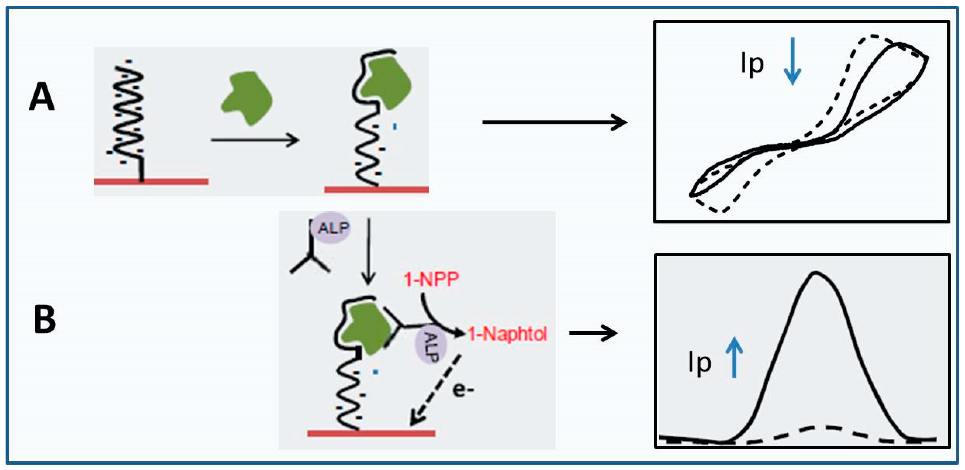 Chemosensors 07 00066 g011