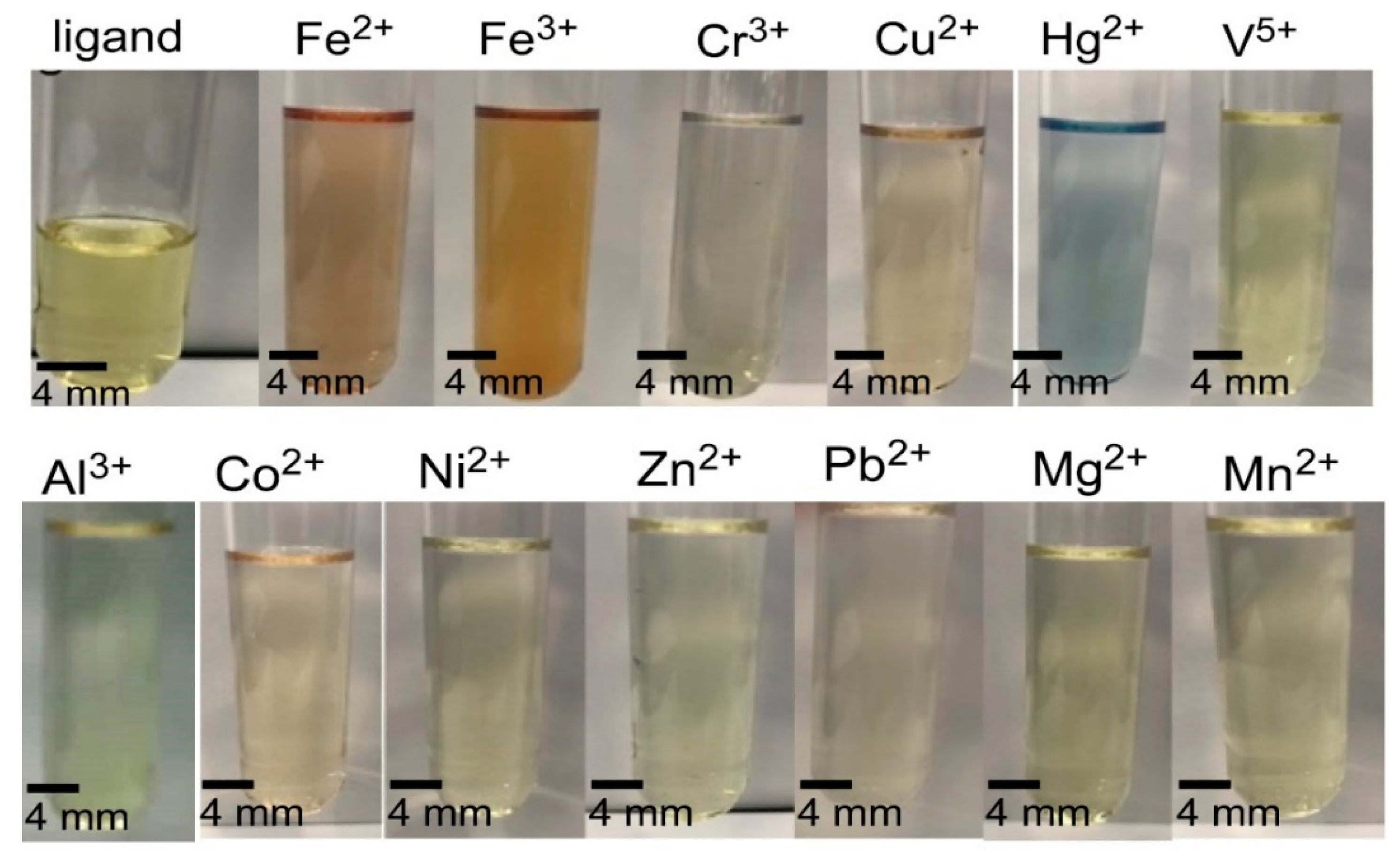 Chemosensors Free FullText Colorimetric Detection Of Multiple 
