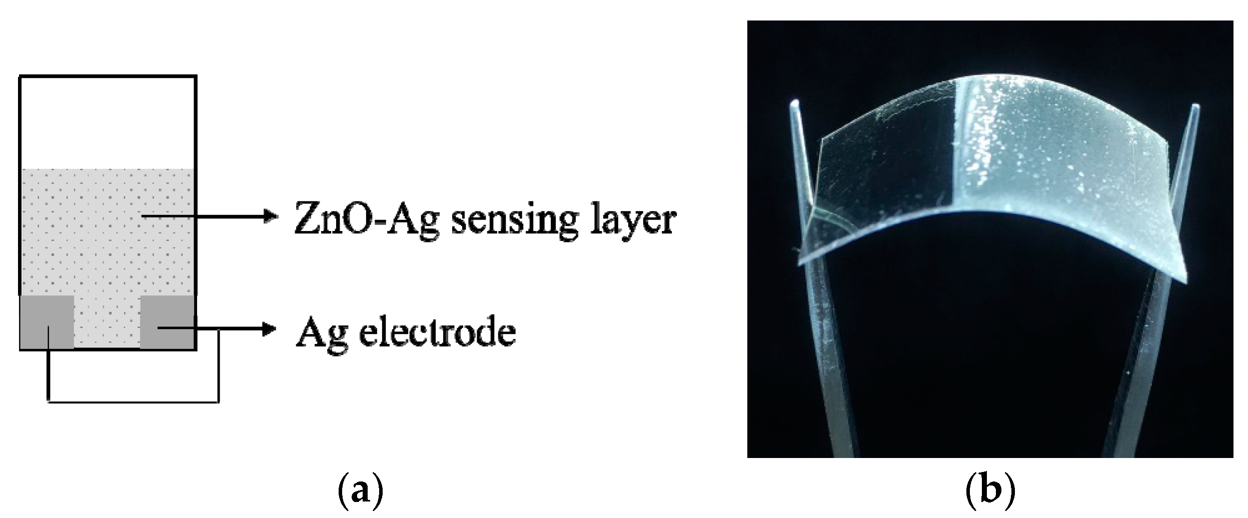 Chemosensors 08 00002 g001 Chemosensors 08 00002 g001