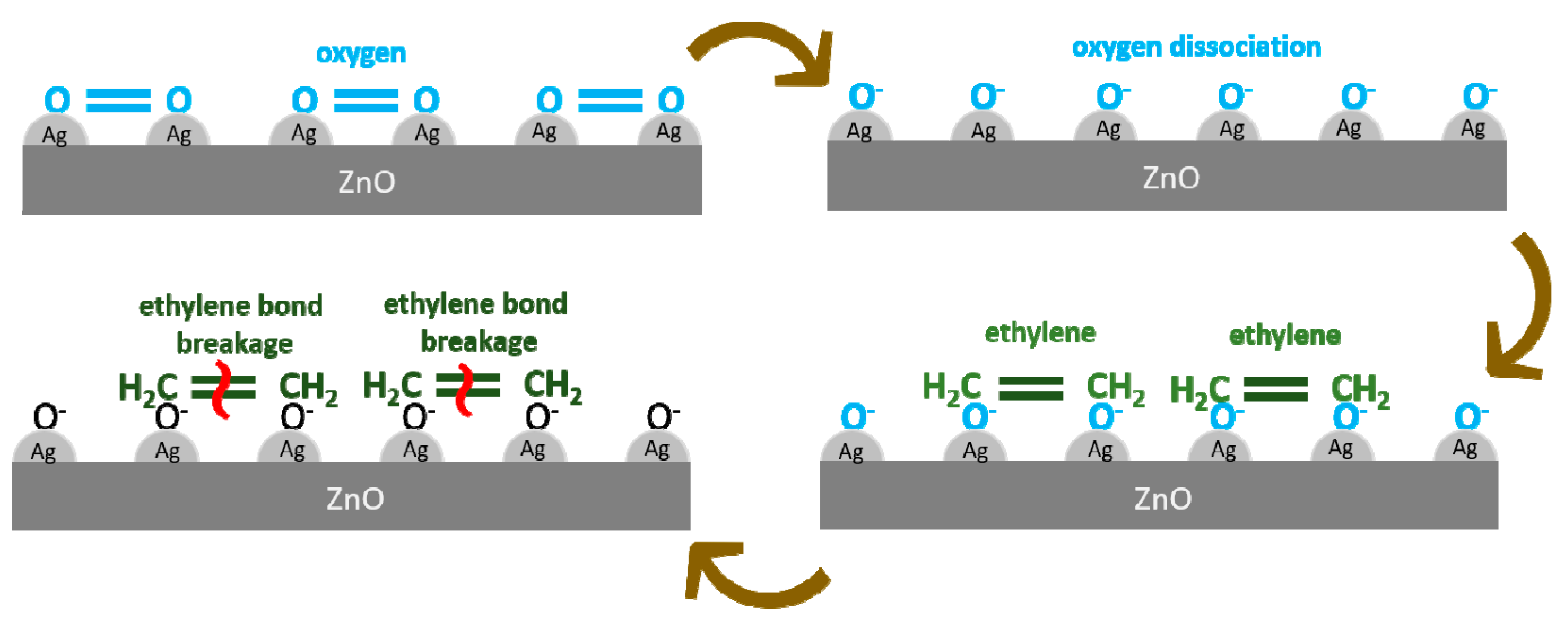 Chemosensors 08 00002 g009 Chemosensors 08 00002 g009