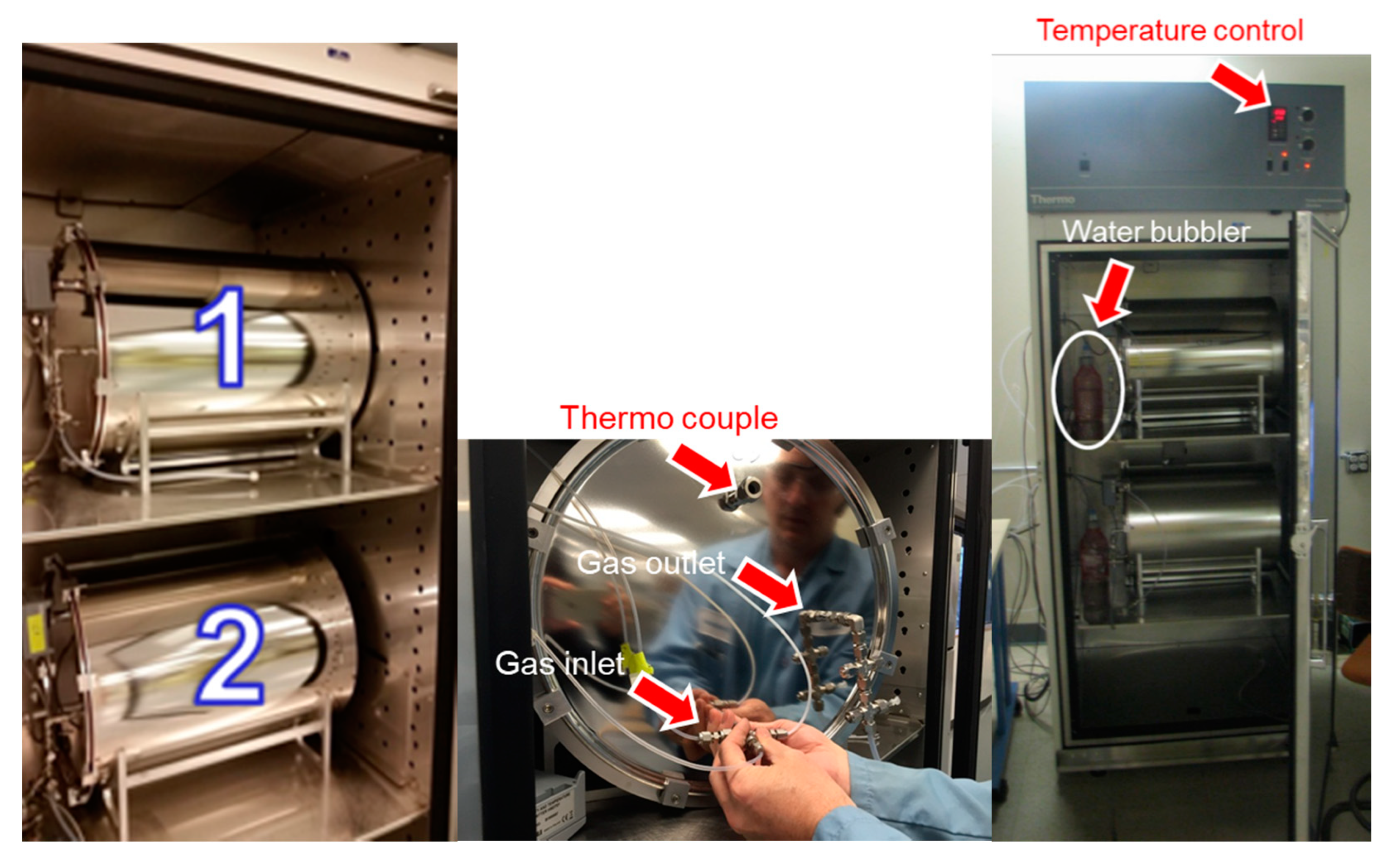 Chemosensors 08 00008 g002