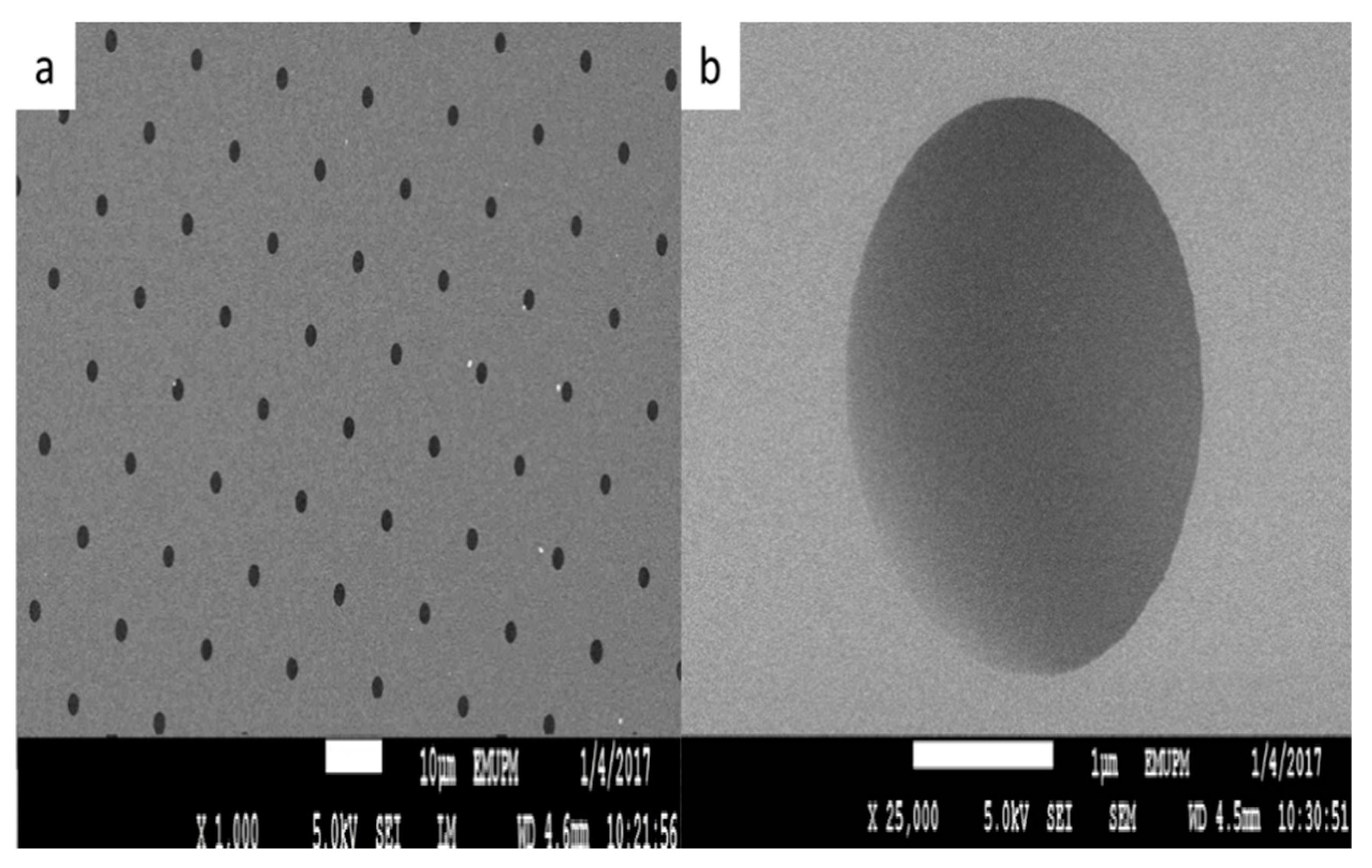 Chemosensors 08 00011 g002