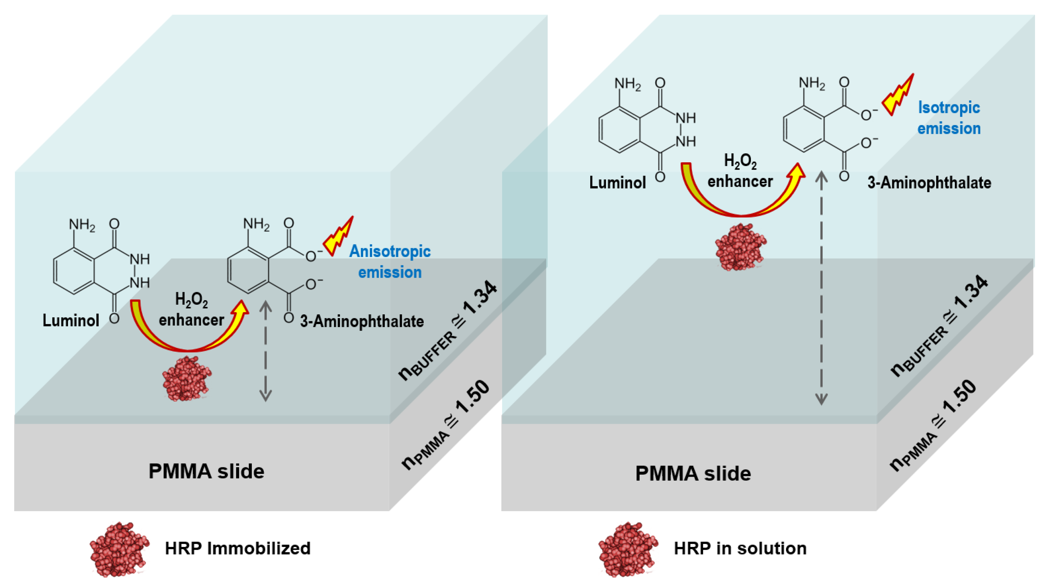 Chemosensors 08 00018 g003 Chemosensors 08 00018 g003
