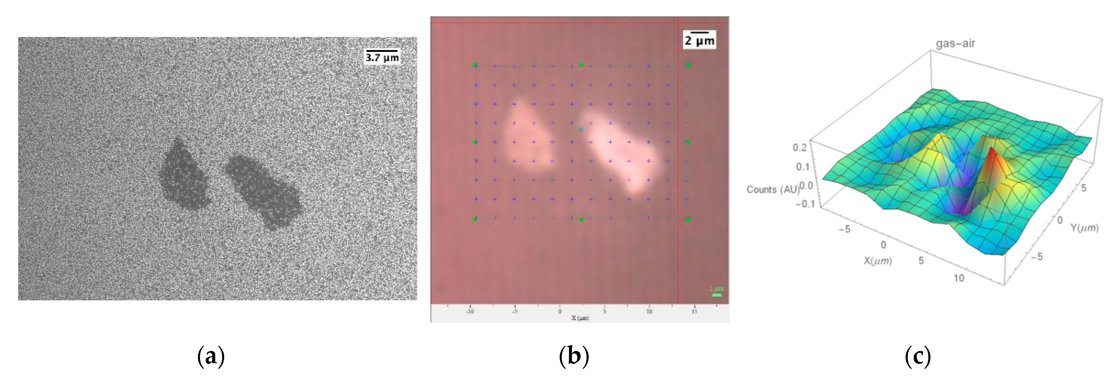 Chemosensors 08 00019 g007