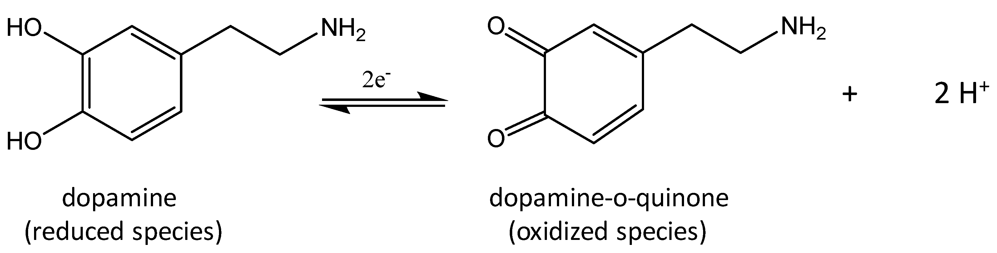 Chemosensors 08 00022 sch001 Chemosensors 08 00022 sch001