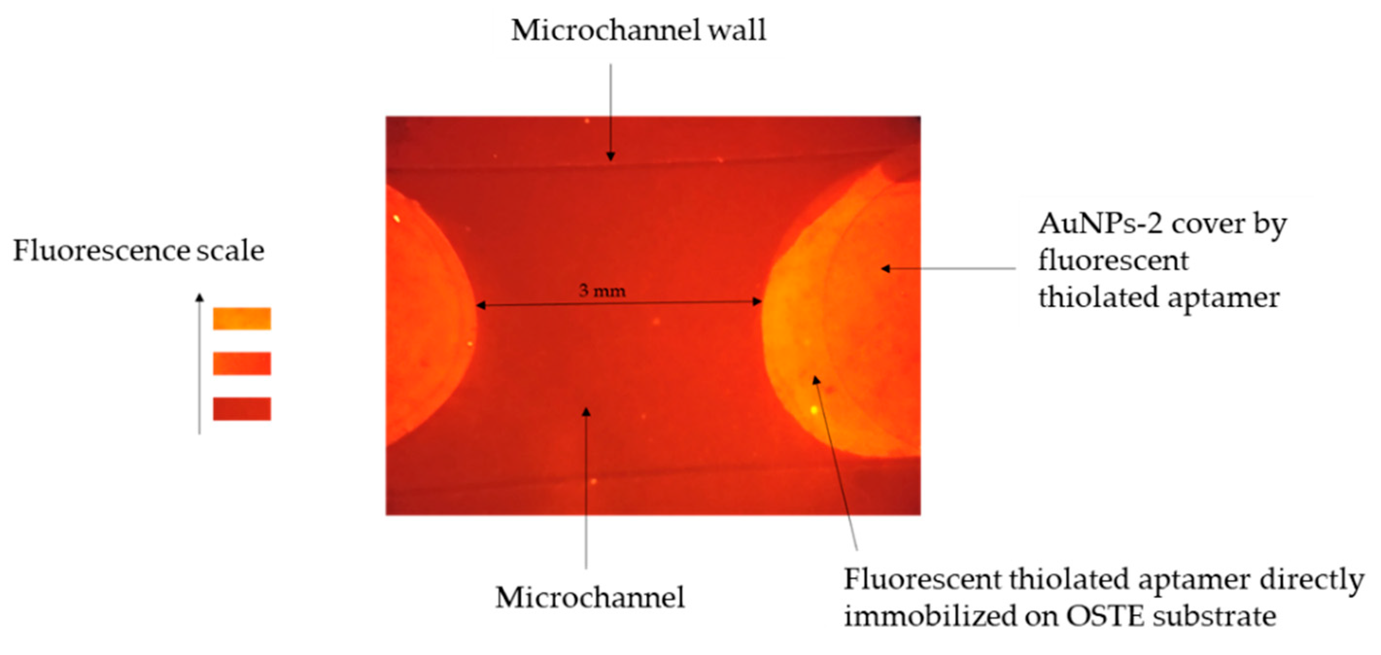 Chemosensors 08 00024 g007 Chemosensors 08 00024 g007