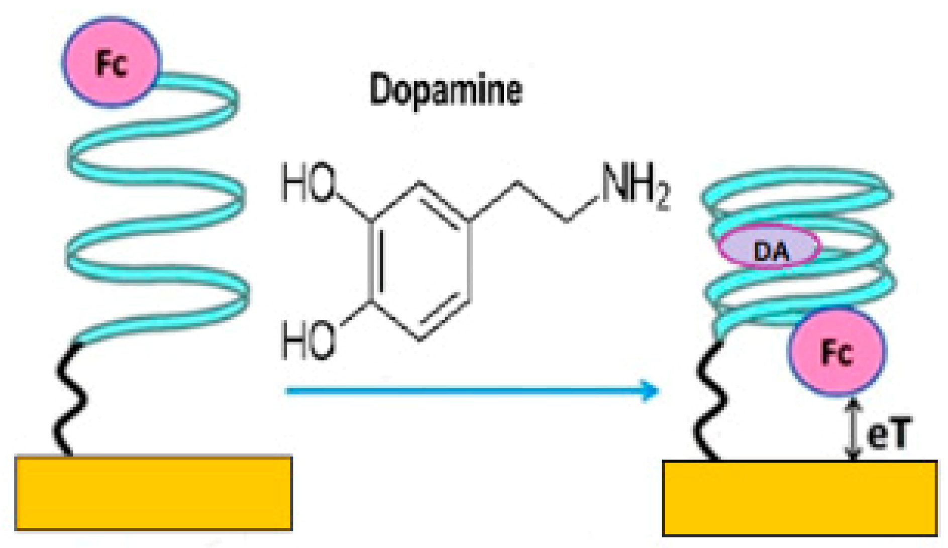 Chemosensors 08 00028 g002