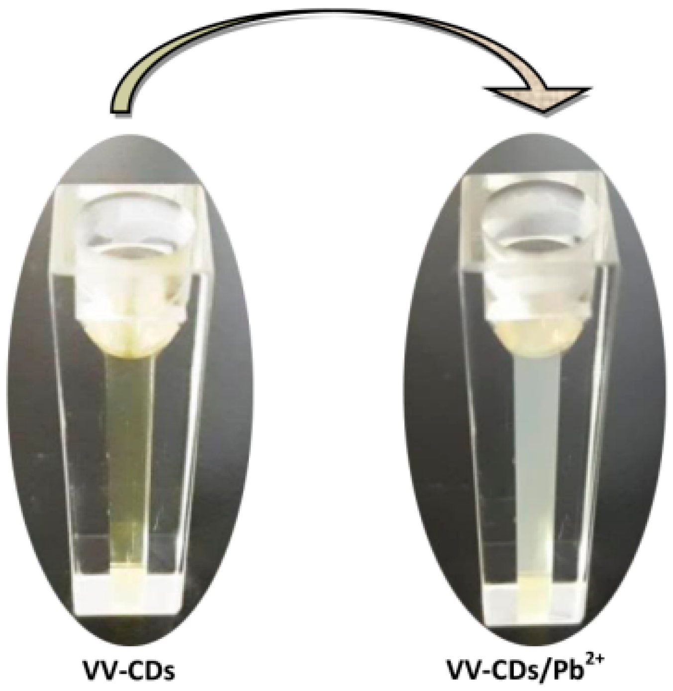 Chemosensors 08 00047 g006